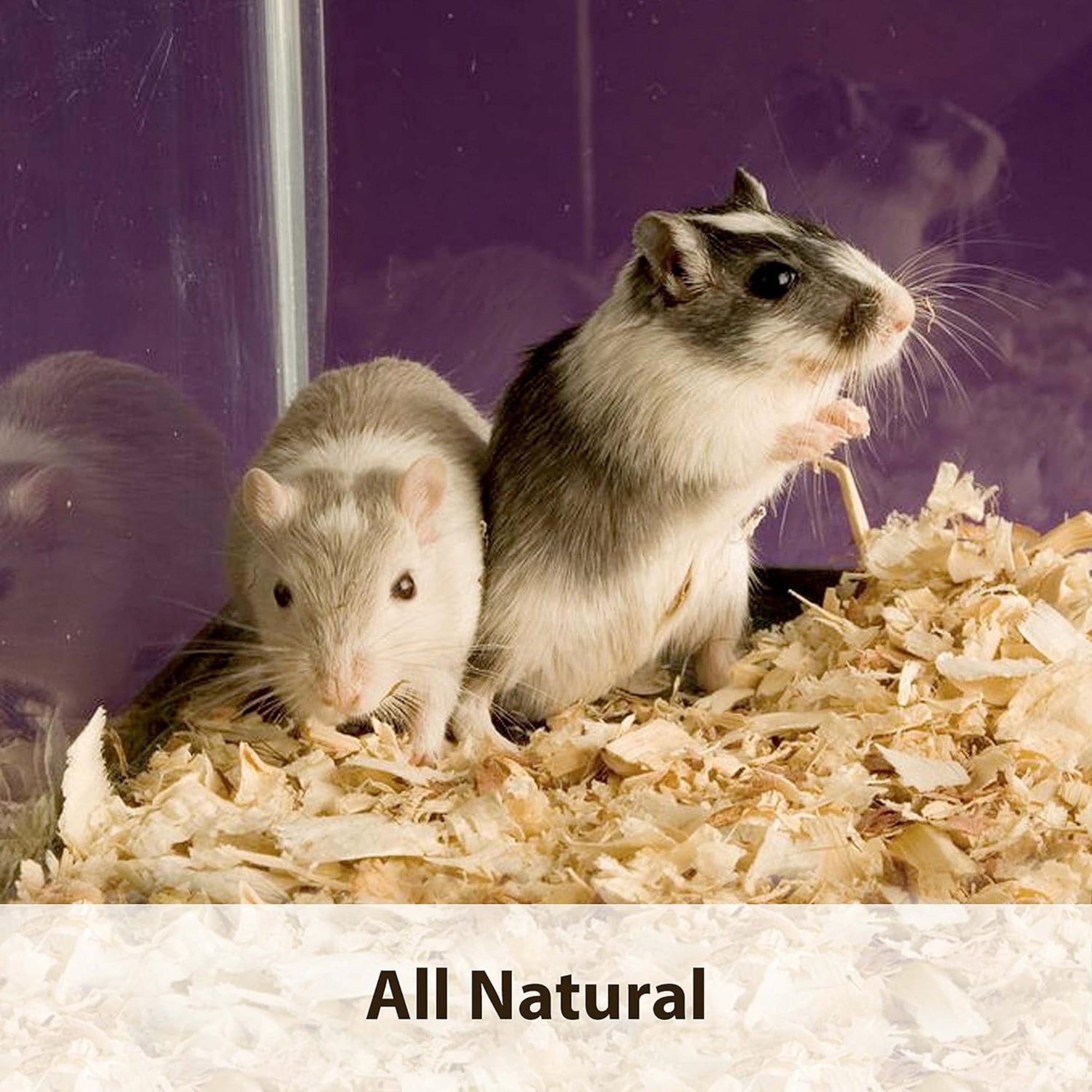 Kaytee Aspen Odor Control Small Pet Bedding For Rabbits, Hamsters, Gerbils, 8 cu ft.