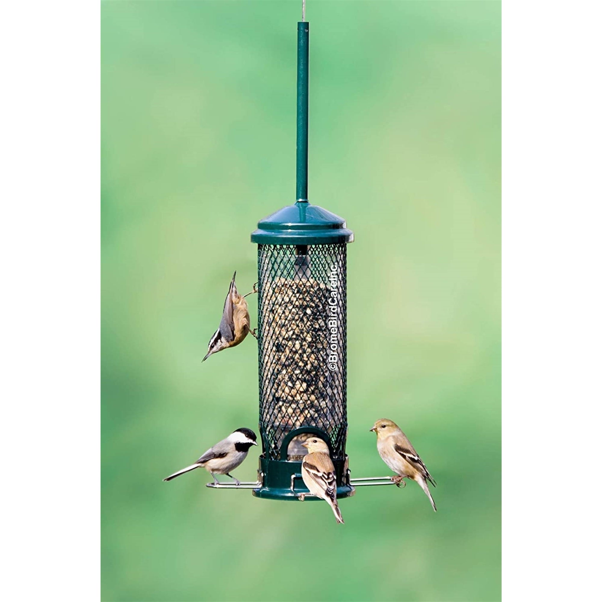 Brome Squirrel Buster Mini Bird Feeder, Squirrel Proof