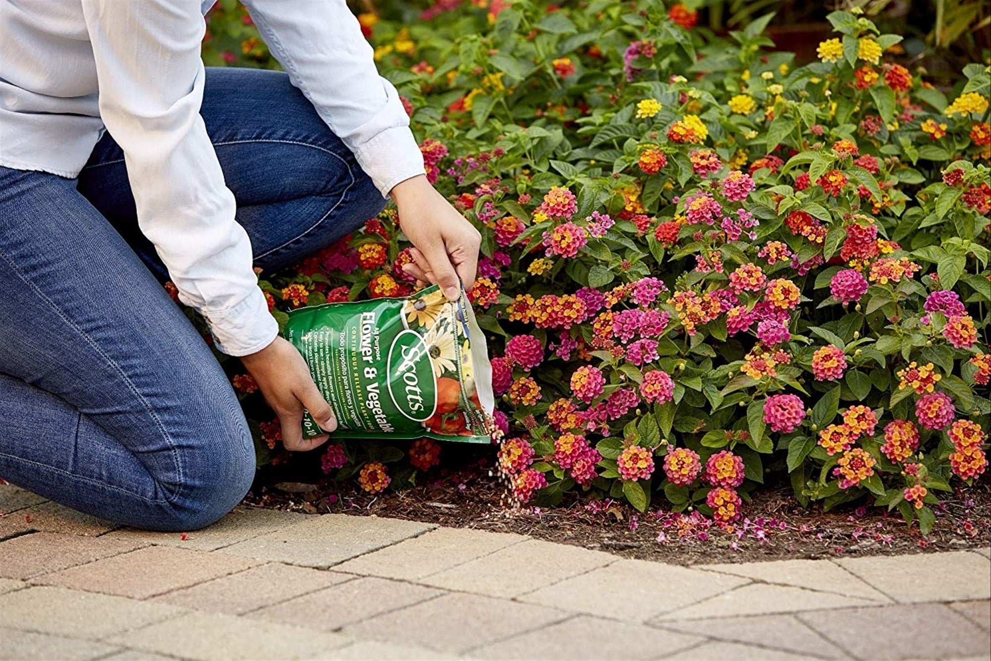 Scotts All Purpose Continuous Release Flower and Vegetable Plant Food, 3lb