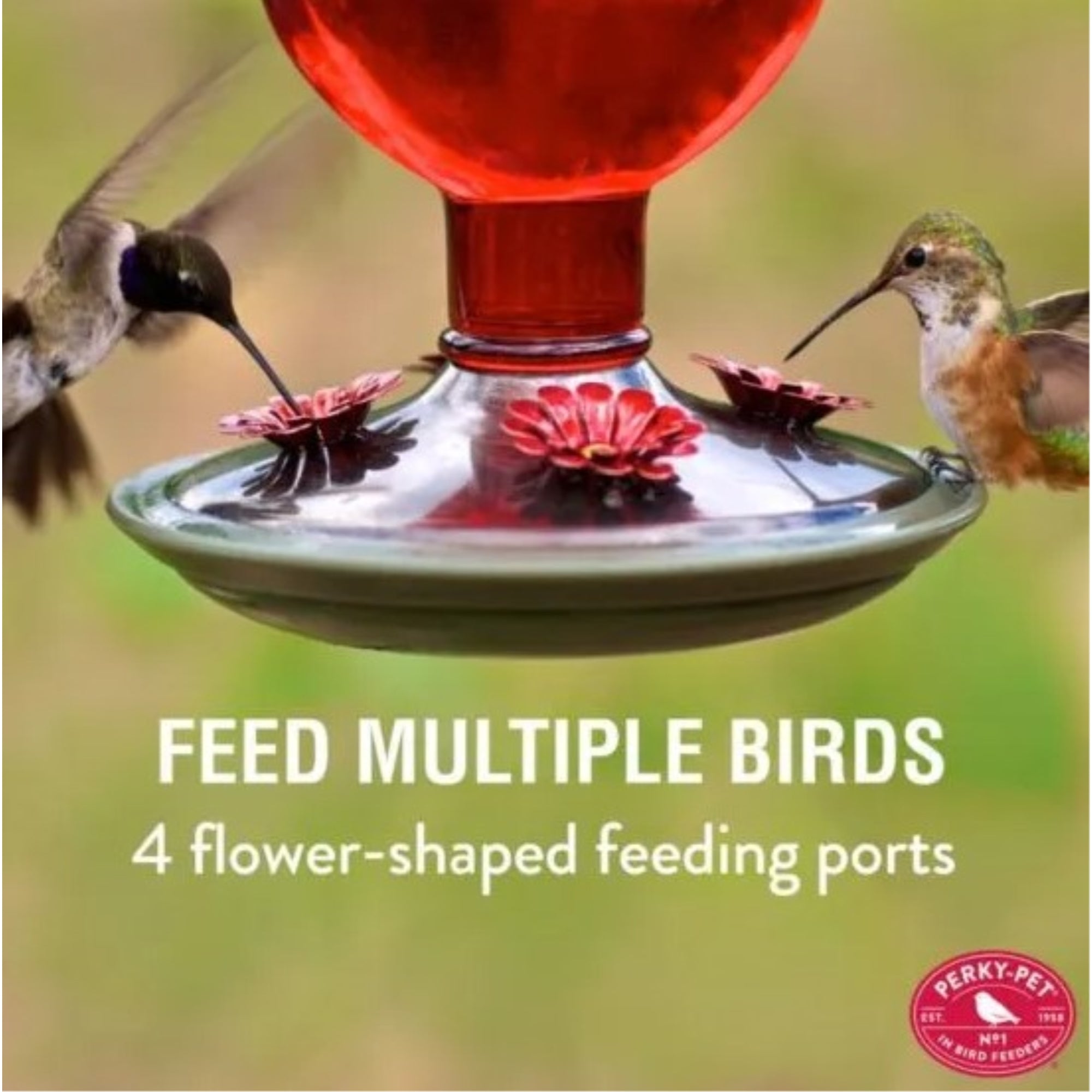 Perky-Pet Antique Glass Bottle Hummingbird Feeder-16-Ounce Capacity, Red