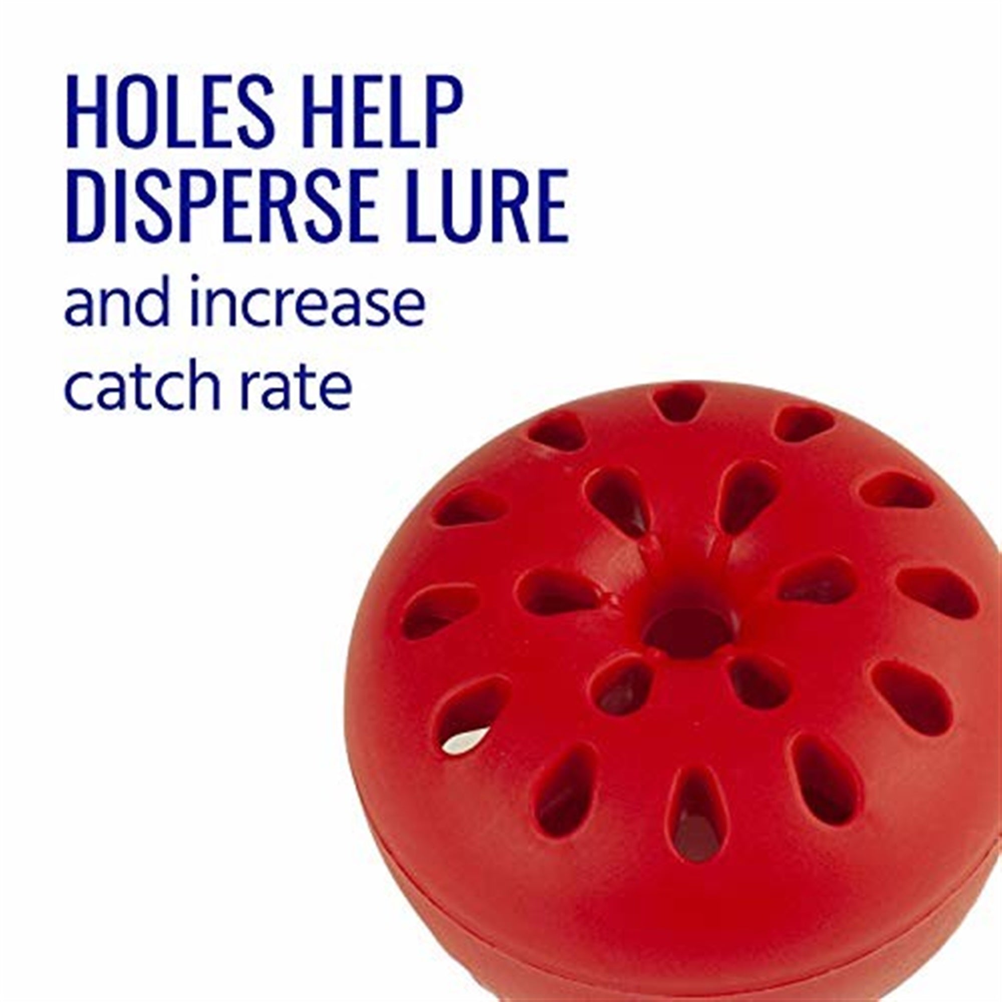 Woodstream TERRO T2502 Fruit Fly Trap, 2 Per Pack