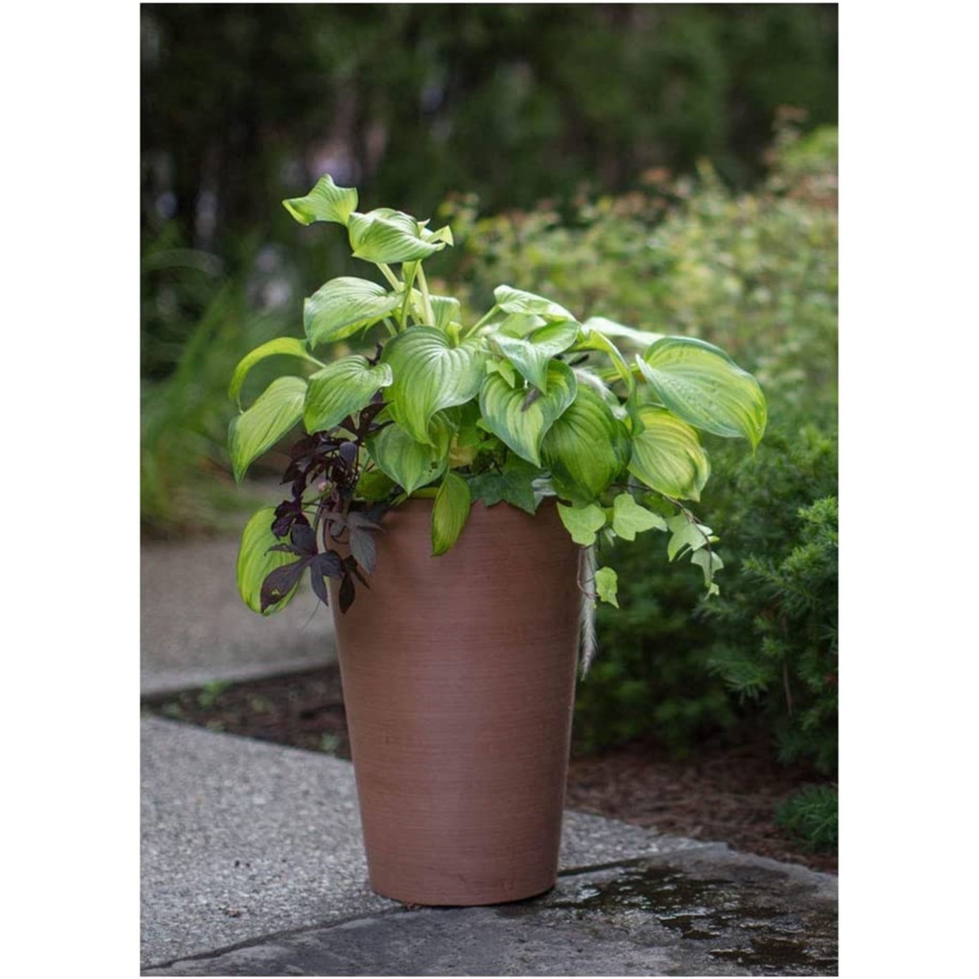 Algreen Valencia Tall Resin Round Tapered Planter with Drainage Plug