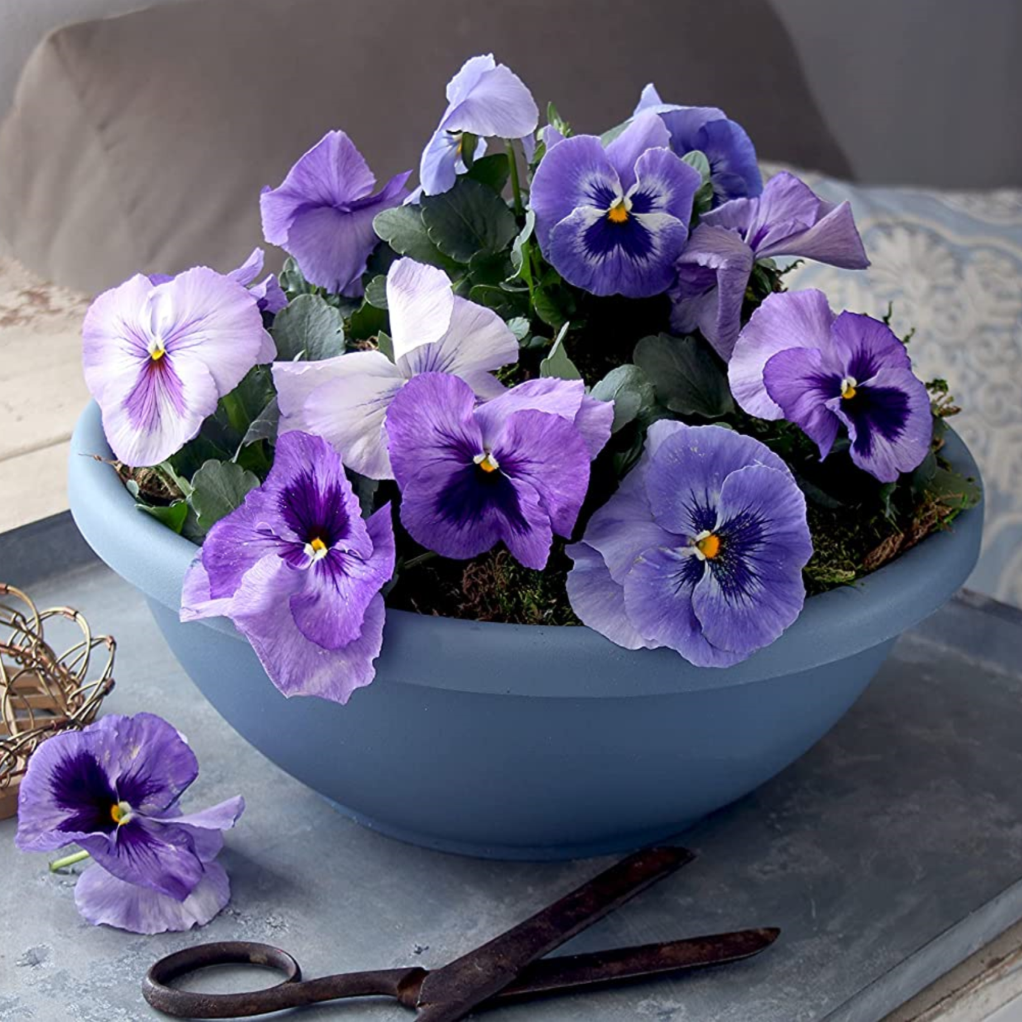The HC Companies Round Plastic Garden Bowl Planter