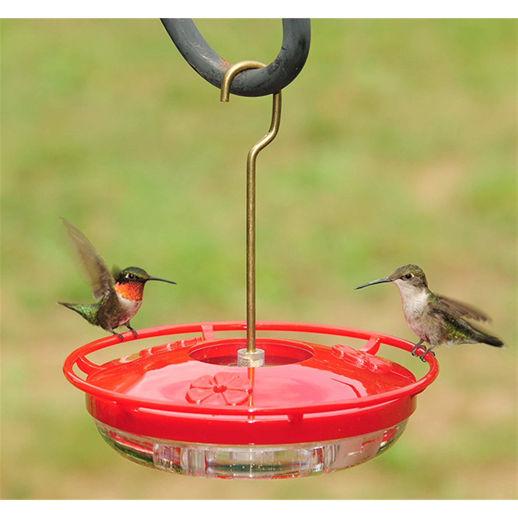 Aspects (ASP430) HummZinger Mini HighView 8 oz Hanging Hummingbird Feeder