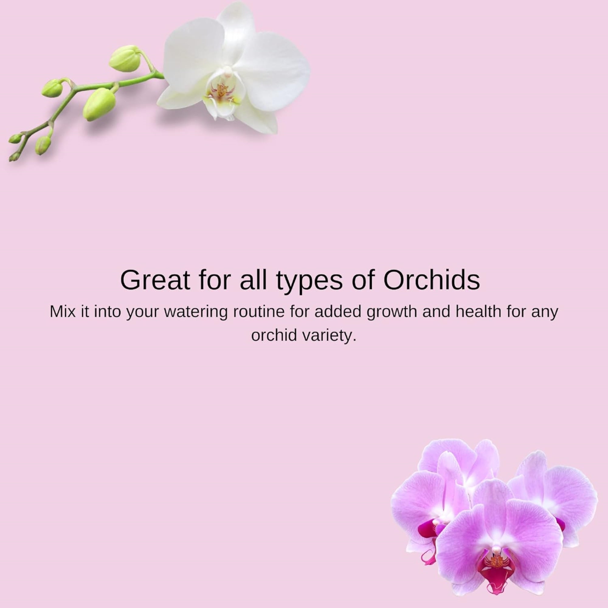 Fertilome Houseplant Hero Orchid Plant Food, 9-7-9 House Plant Fertilizer, 8 Oz