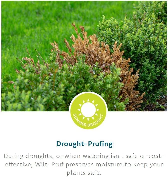 Wilt-Pruf Products Anti-Transpirant Ready-To-Use Protective Coating Spray For Crops/Garden, 32 OZ