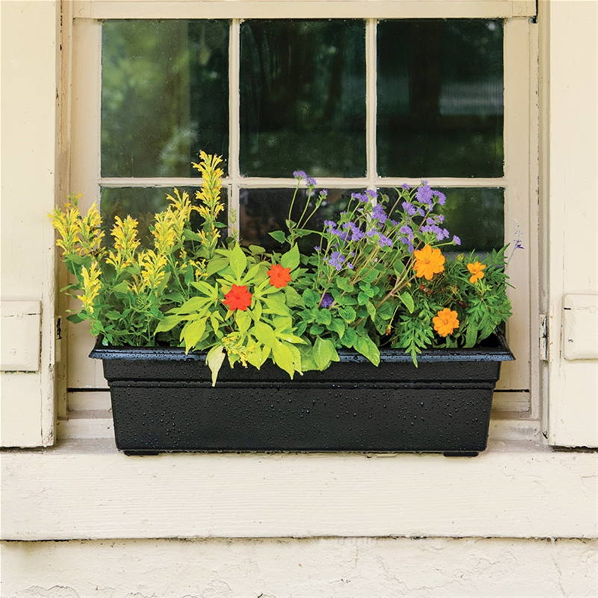 Novelty Plastic Countryside Flower Box Planter