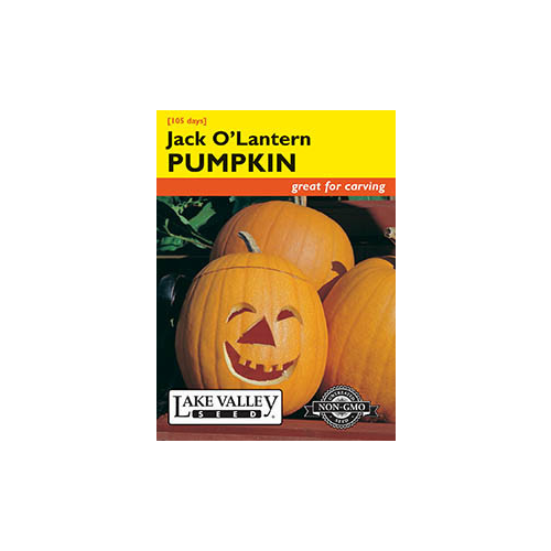 Lake Valley Seed Pumpkin, Jack O'Lantern, 5g