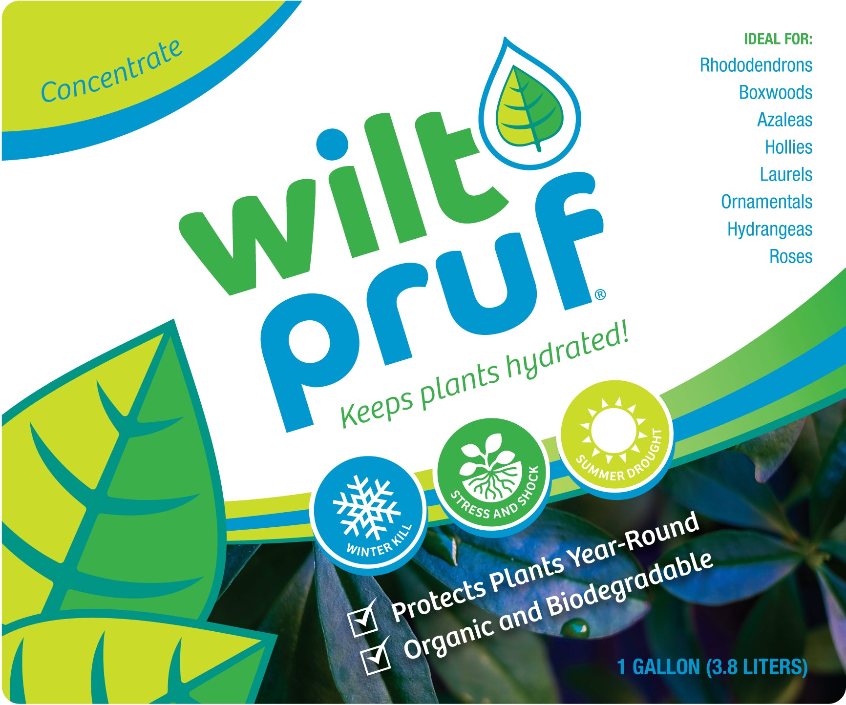 Wilt-Pruf Anti Transpirant Concentrate, 1-Gallon