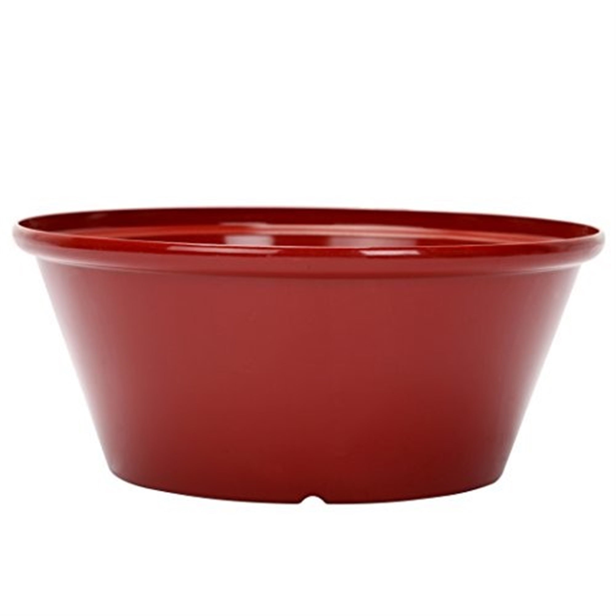 Gardener Select Indoor/Outdoor Round Plastic Tulip Bowl Planter, 12” Diameter