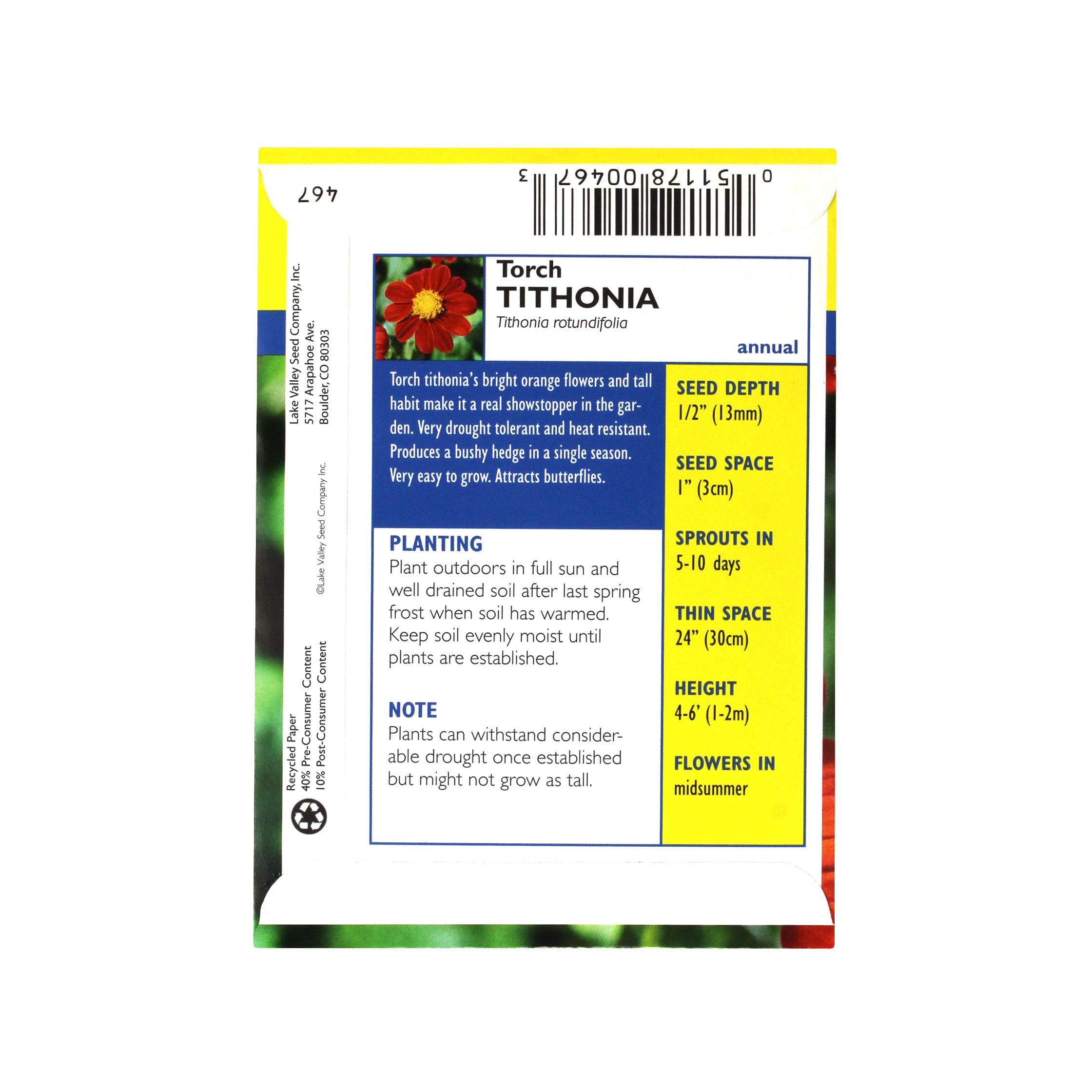 Lake Valley Seed Tithonia, Torch (Mexican Sunflower) Heirloom, 0.4g