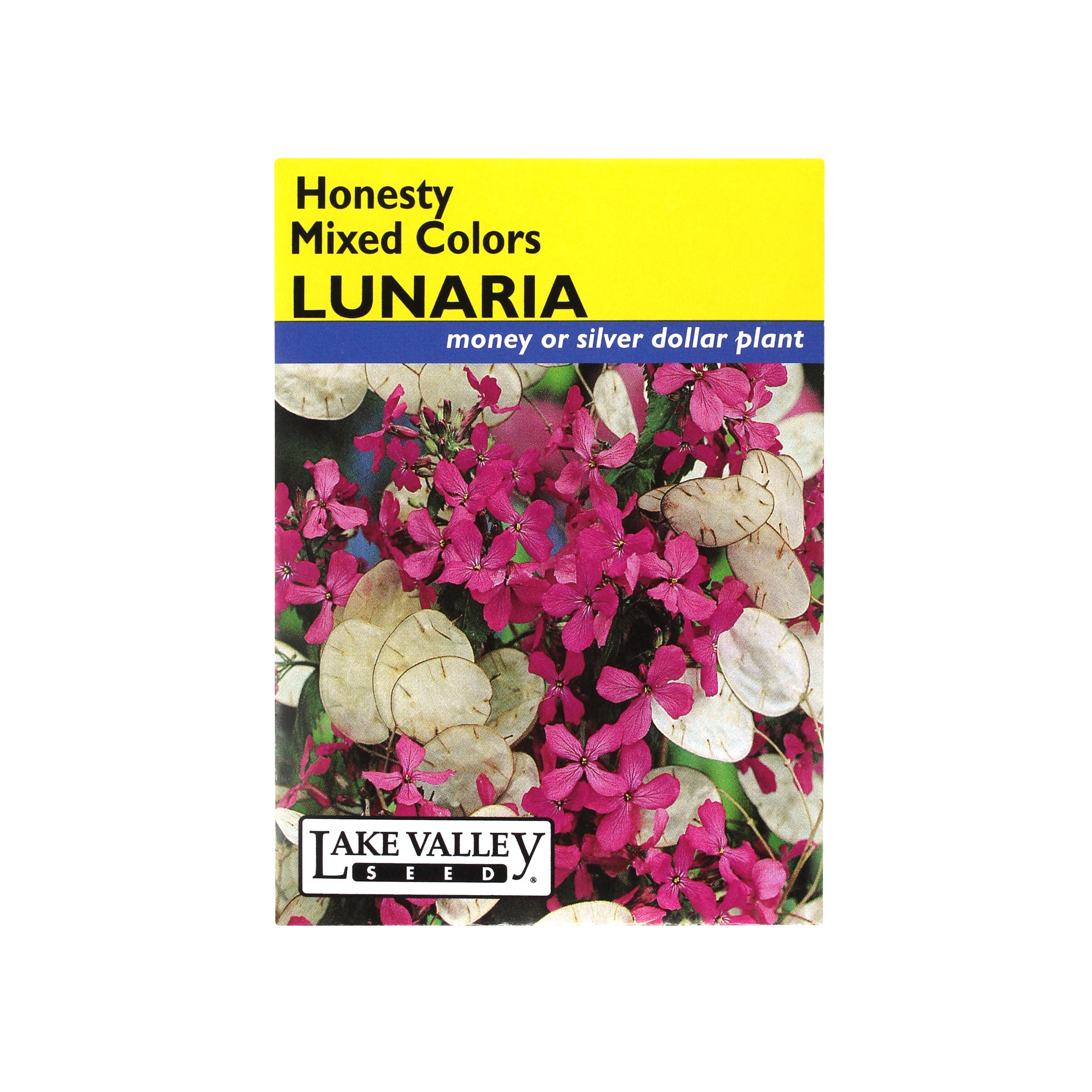Lake Valley Seed Lunaria Honesty Mixed Colors Heirloom Flower, 0.75g