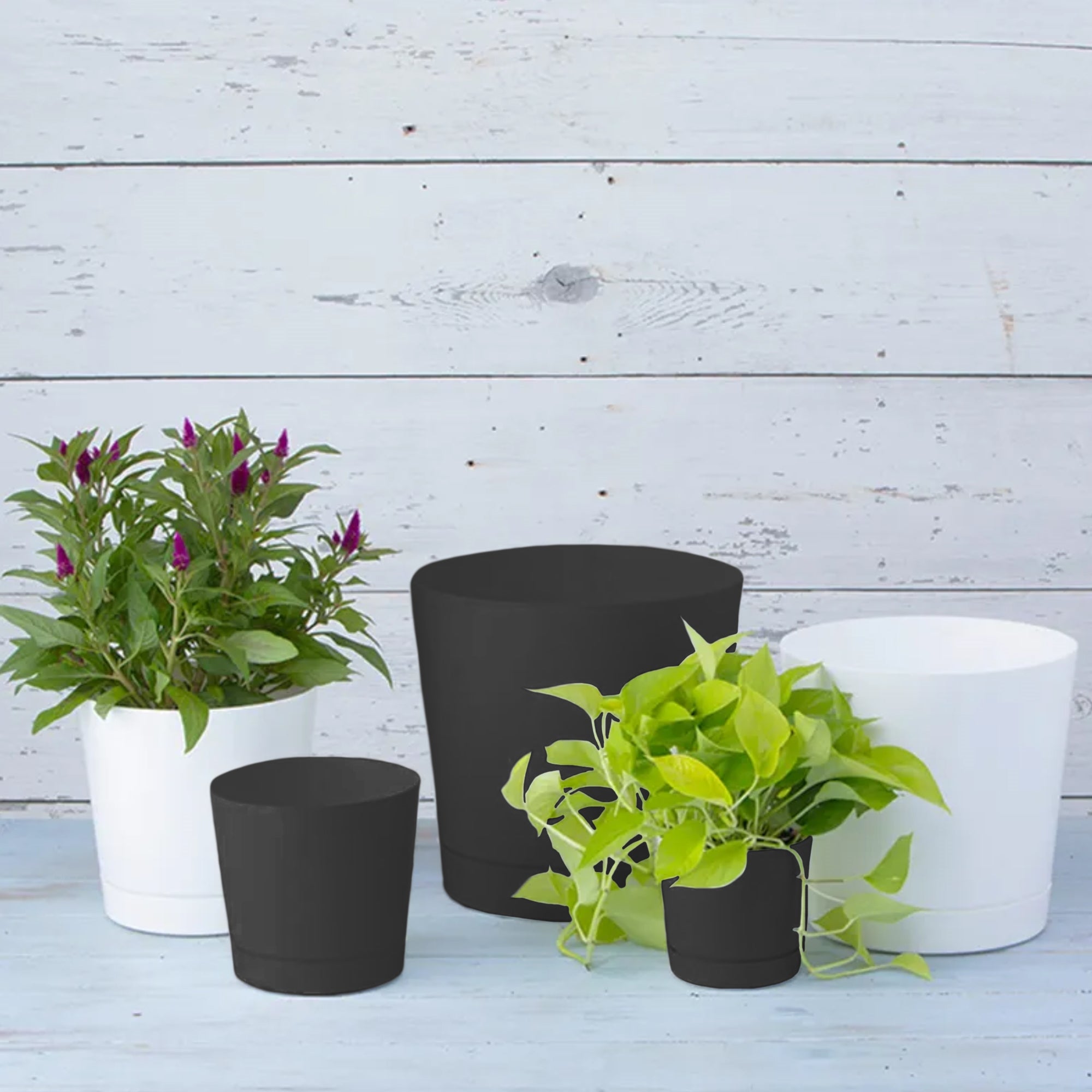 Novelty Manufacturing Majestic Full Depth Round Cylinder Pot