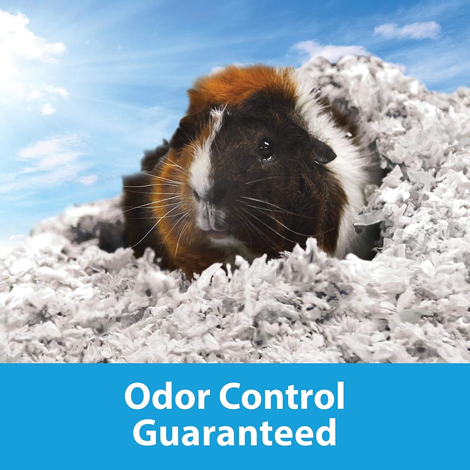 Kaytee Clean & Cozy Odor Control Small Animal Bedding, White, 85 Liters