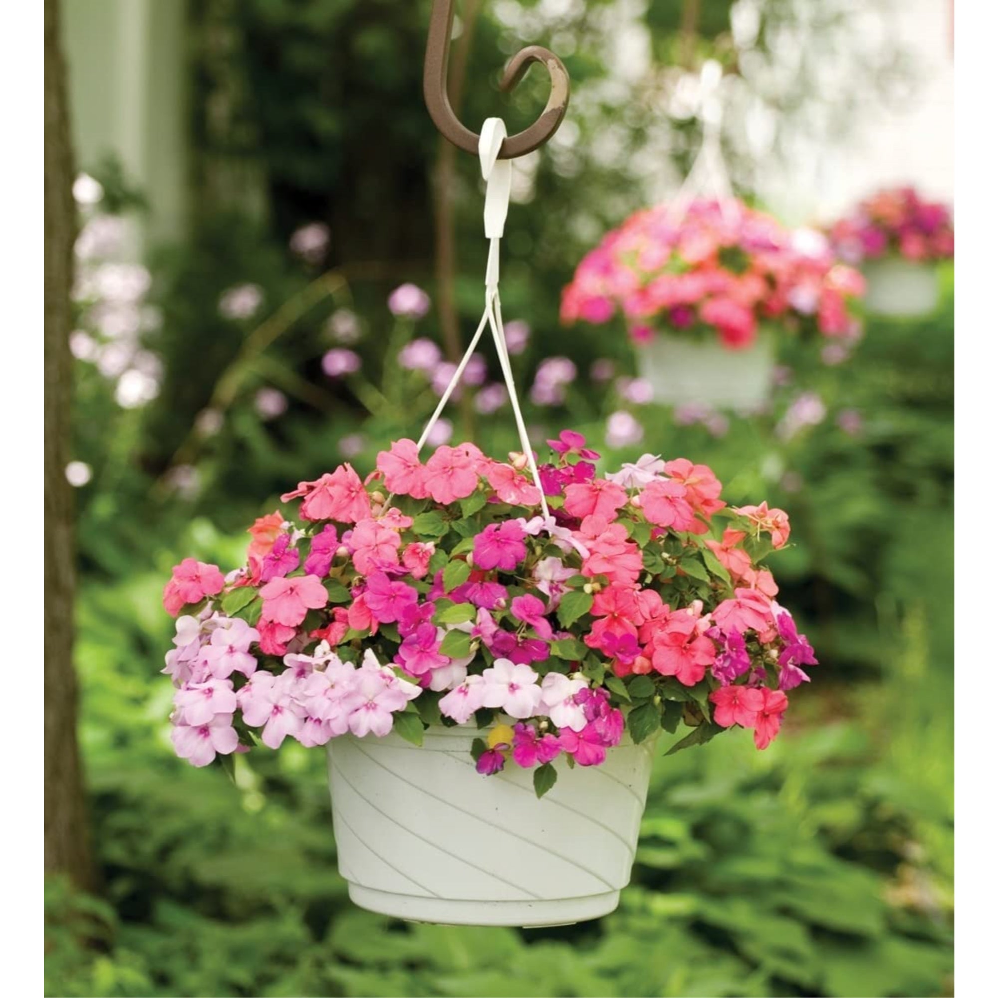 The HC Companies Euro Swirl Hanging Basket, White, 10-Inch