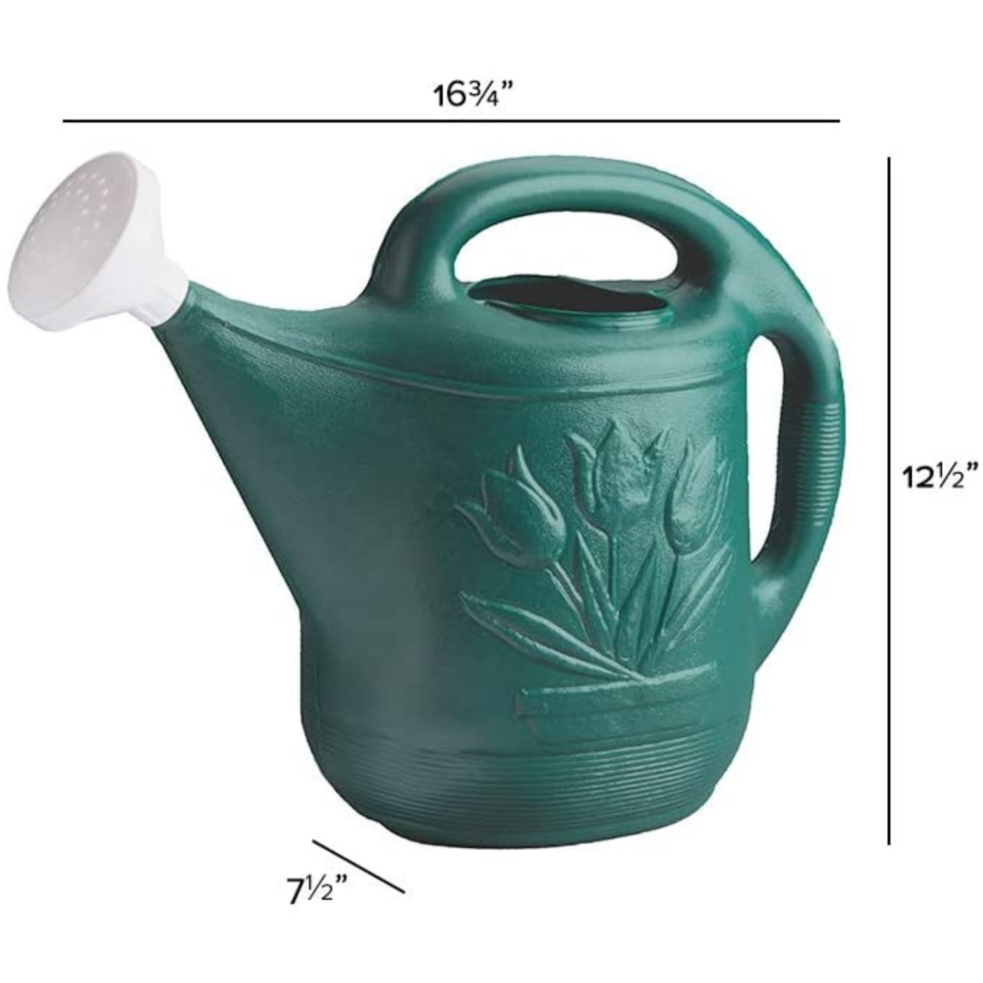 Novelty Classic Plastic Watering Can, Classic Version, Green, 2 Gallon Capacity