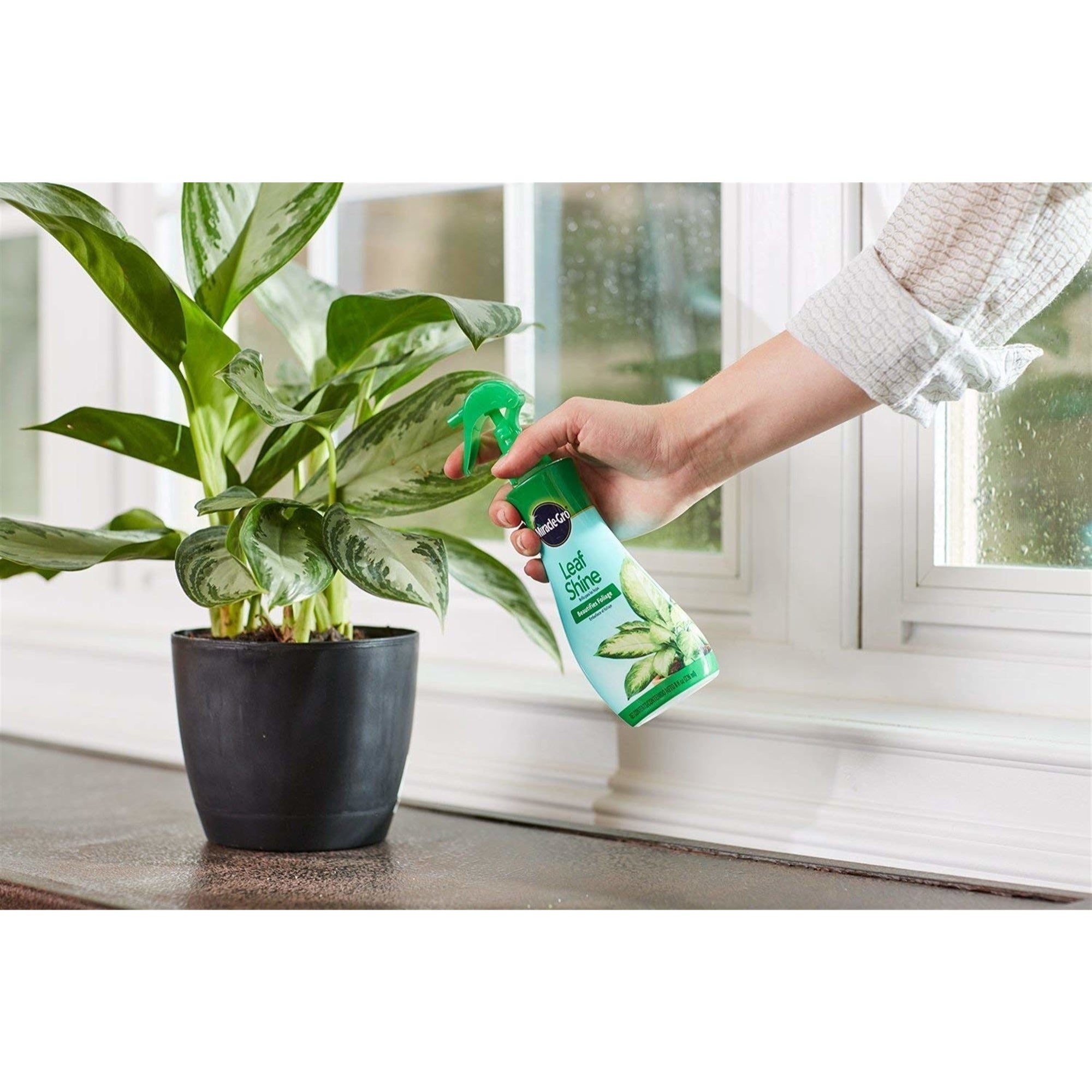 Miracle-Gro Liquid Leaf Shine Spray, 8 oz