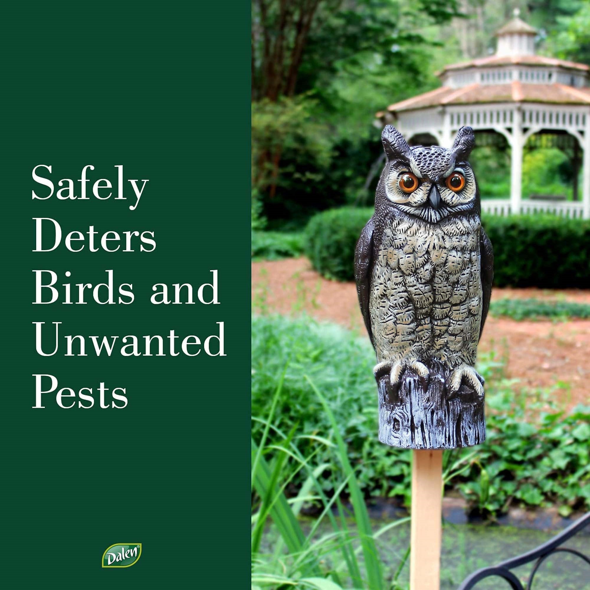 Gardeneer By Dalen Natural Enemy Scarecrow Great Horned Owl
