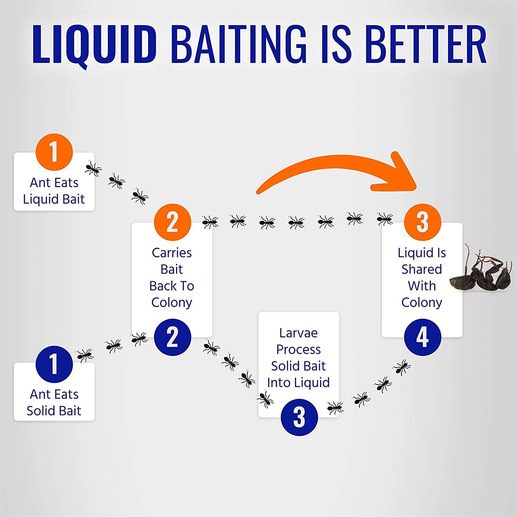 TERRO Liquid Ant Killer, 1 oz (pack of 1)