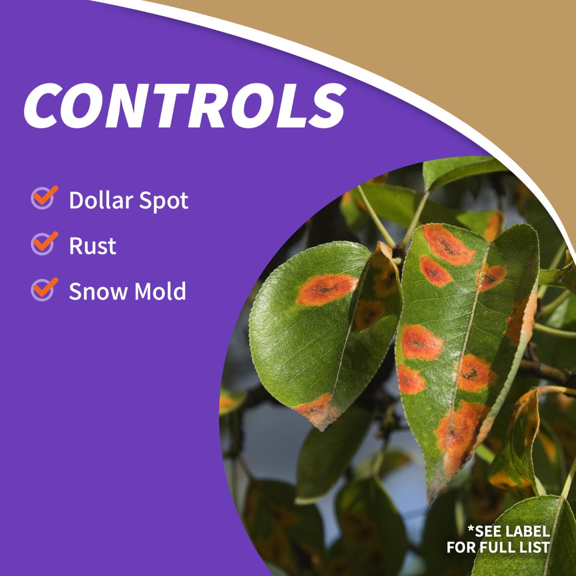 Bonide Captain Jack LawnWeed Brew for Weed Control, RTU Trigger Spray, 32 oz