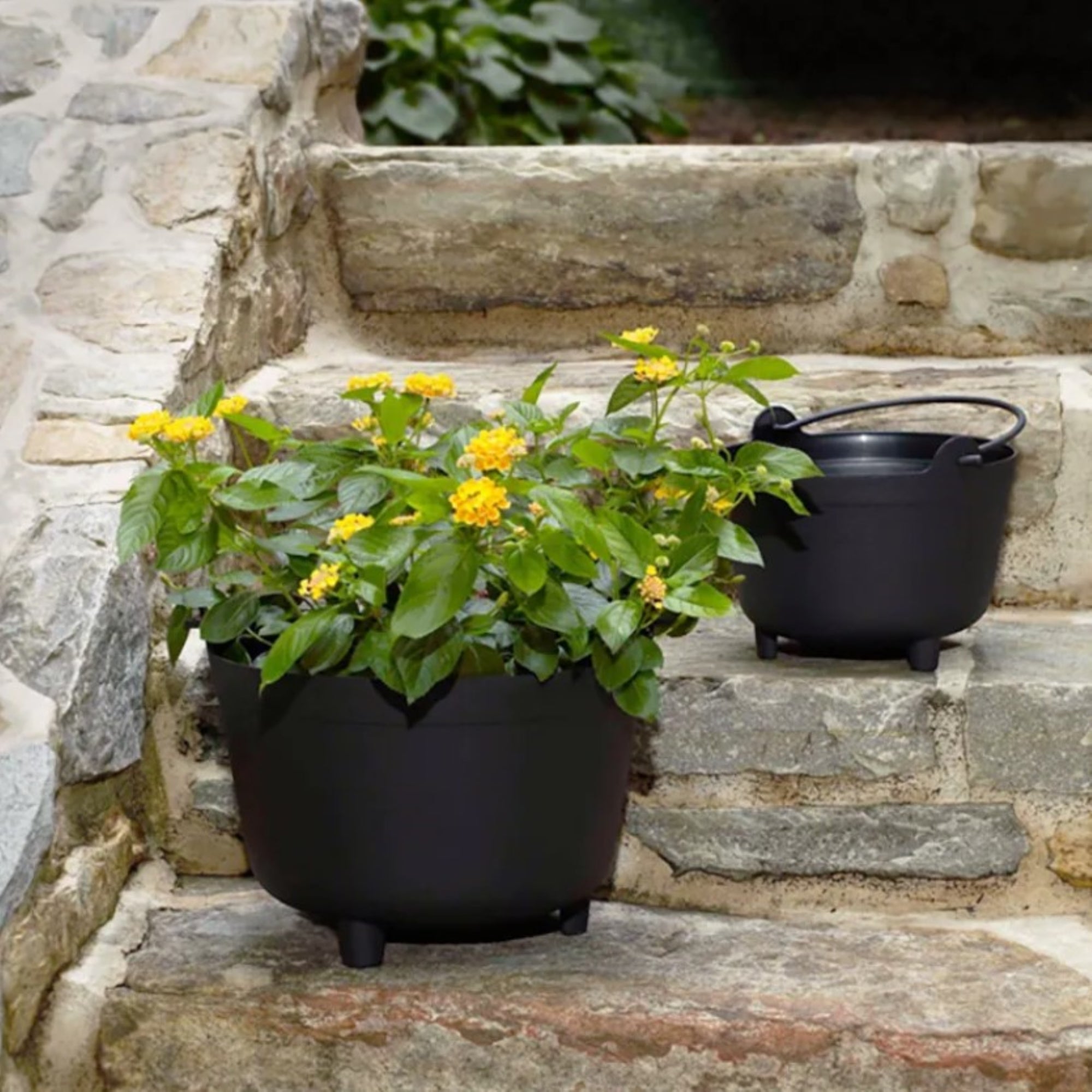 Novelty Indoor/Outdoor Antique-Inspired Kettle Plastic Round Planter with Handle