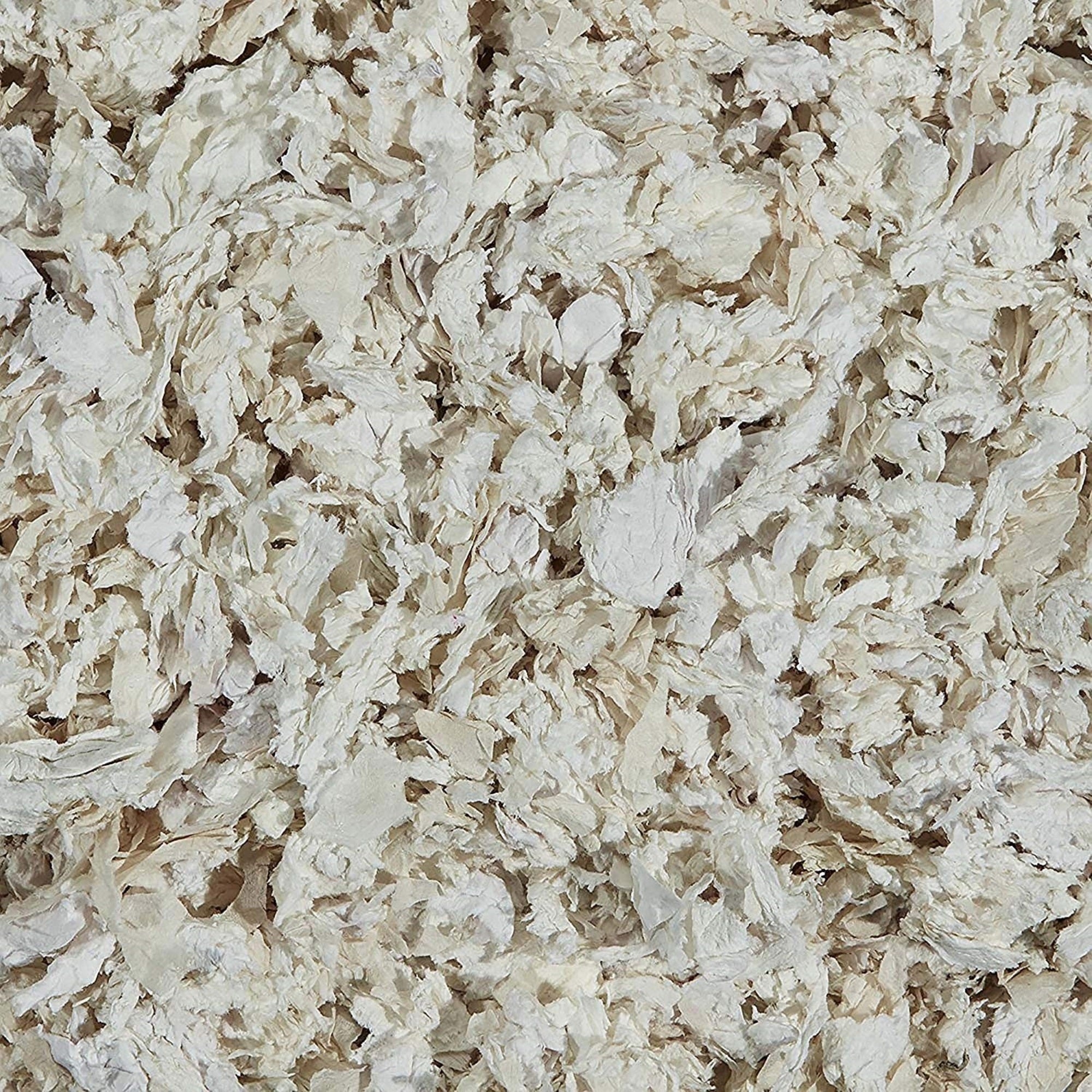 Kaytee Clean & Cozy Odor Control Small Animal Bedding, White, 85 Liters