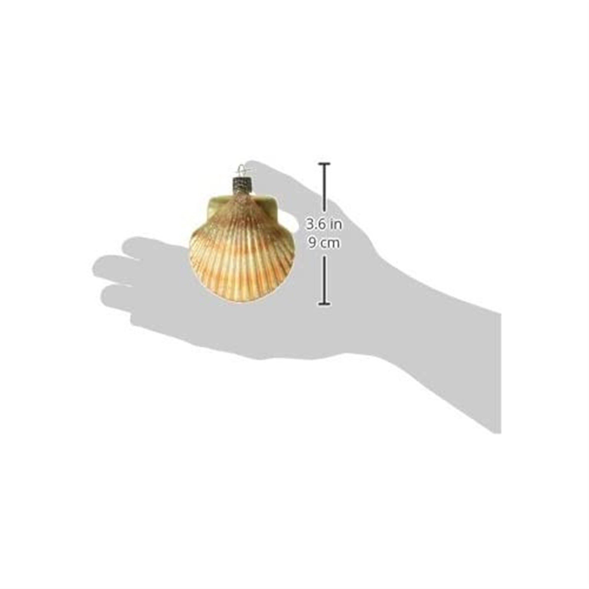 Old World Christmas Blown Glass Christmas Ornament, Scallop Shell