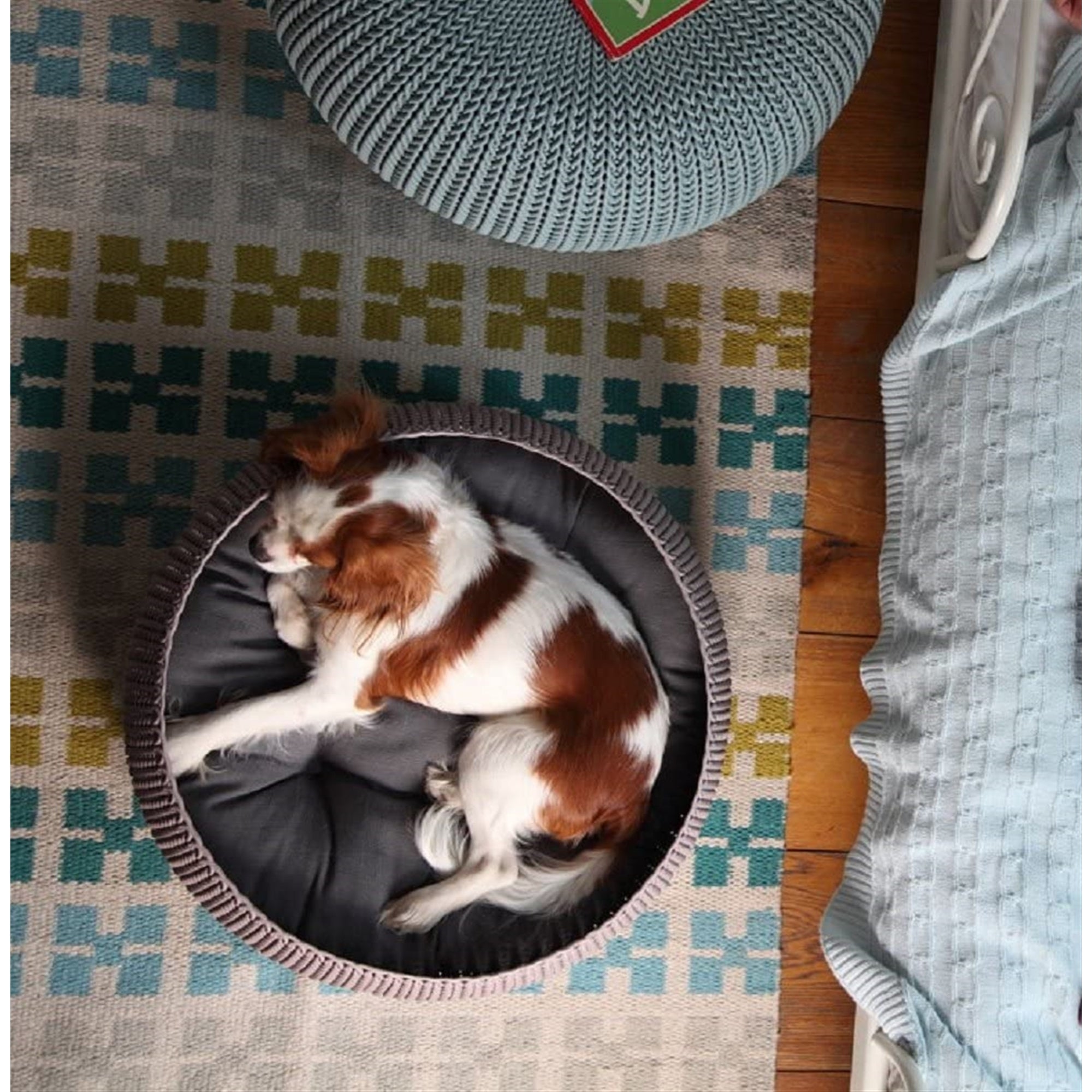 Keter by Curver Knit Cozy Resin Plastic Pet Bed, Cat Bed & Dog Bed with Cushion, Small Dogs to Medium Cats, Sandy Beige