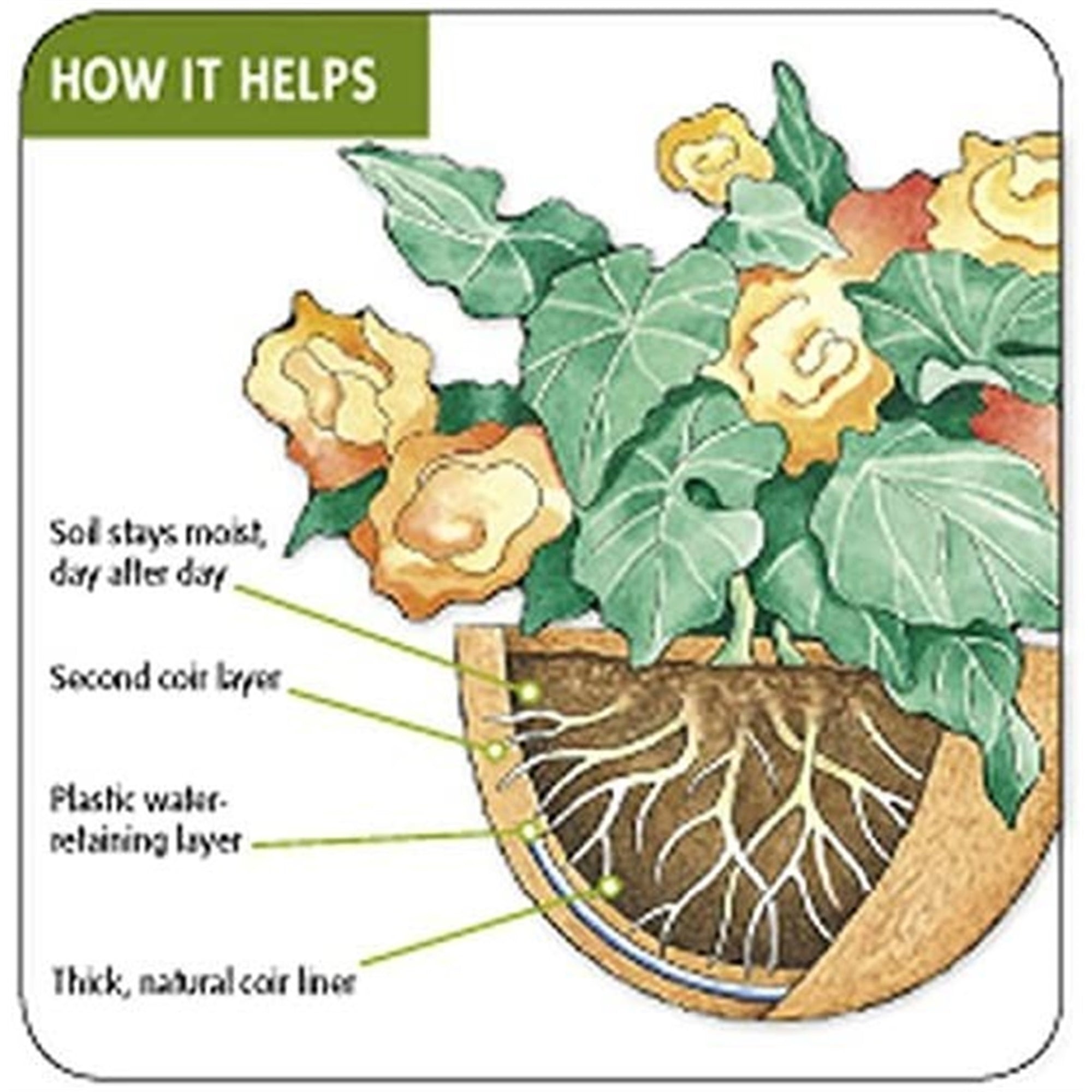 AquaSav??? 16 inch Round Coco Replacement Liner