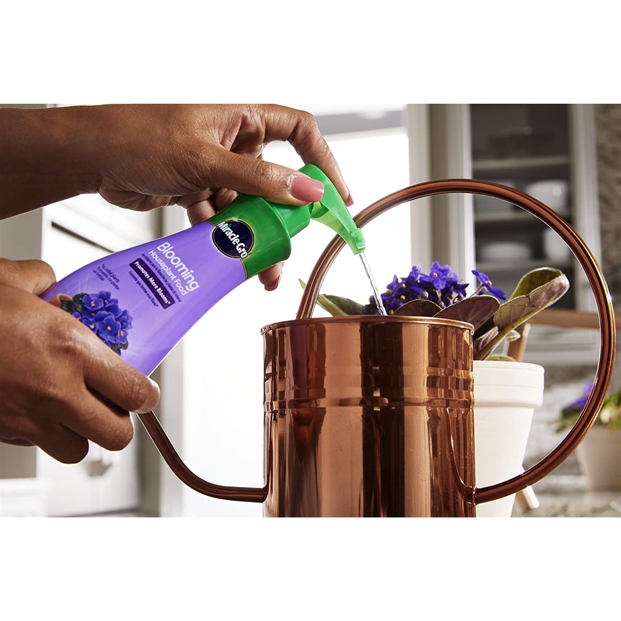 Miracle-Gro Blooming Houseplant Food