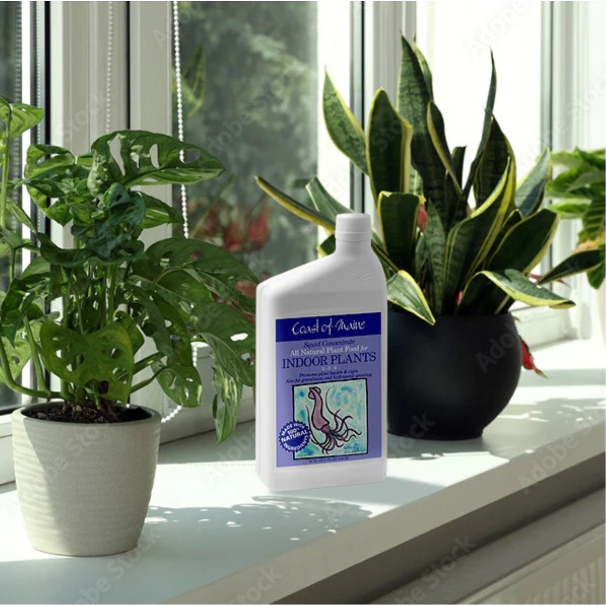 Coast of Maine 2-3-0 Squid Liquid Concentrate All Natural Plant Food for Indoor Plants, 32 fl oz
