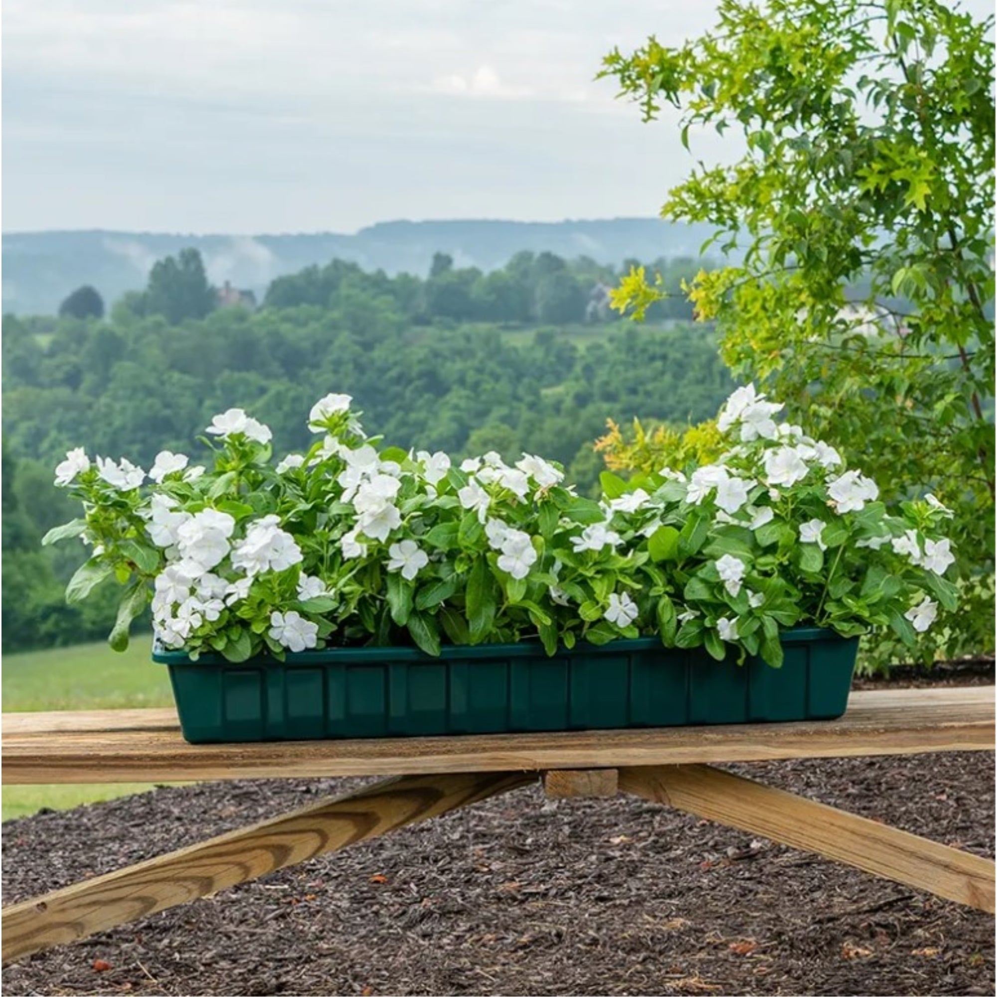 Novelty Poly-Pro Plastic Indoor/Outdoor Liner/Planter Flower Box