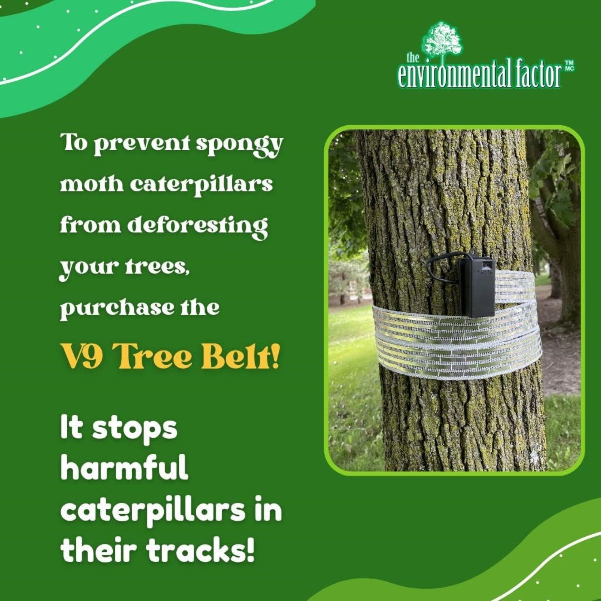 The Environmental Factor V9 TREE BELT Bug Zapper, Safe & Humane Protection Against Caterpillars, 6 Feet Long