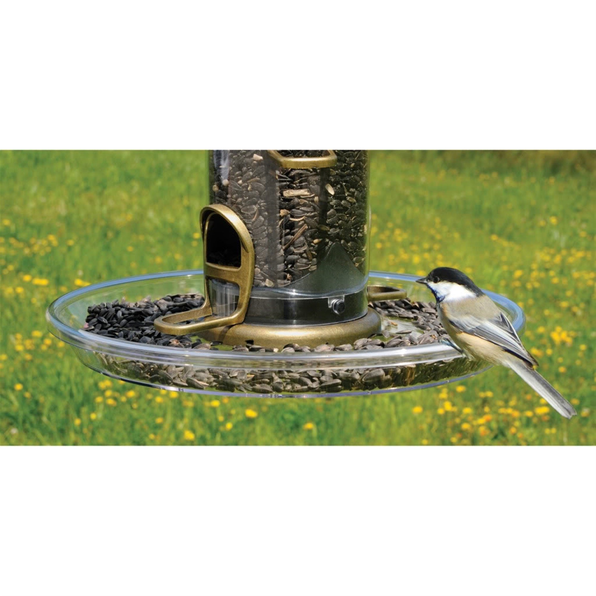 Aspects (ASP423) Quick Clean Bigfoot Seed Tray, 12 diameter