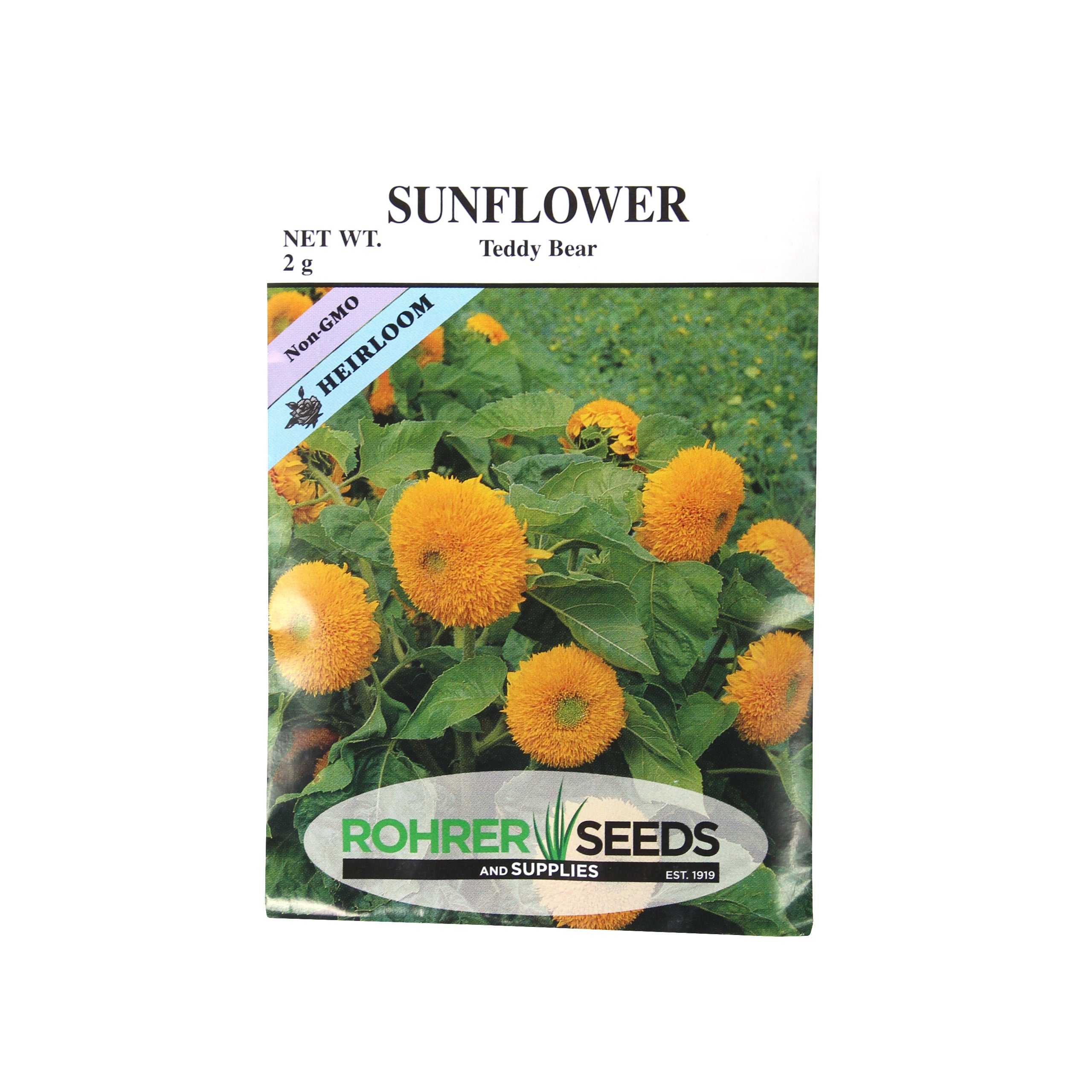 Rohrer Seeds Teddy Bear Sunflower, 2g, Approx 100/Packet