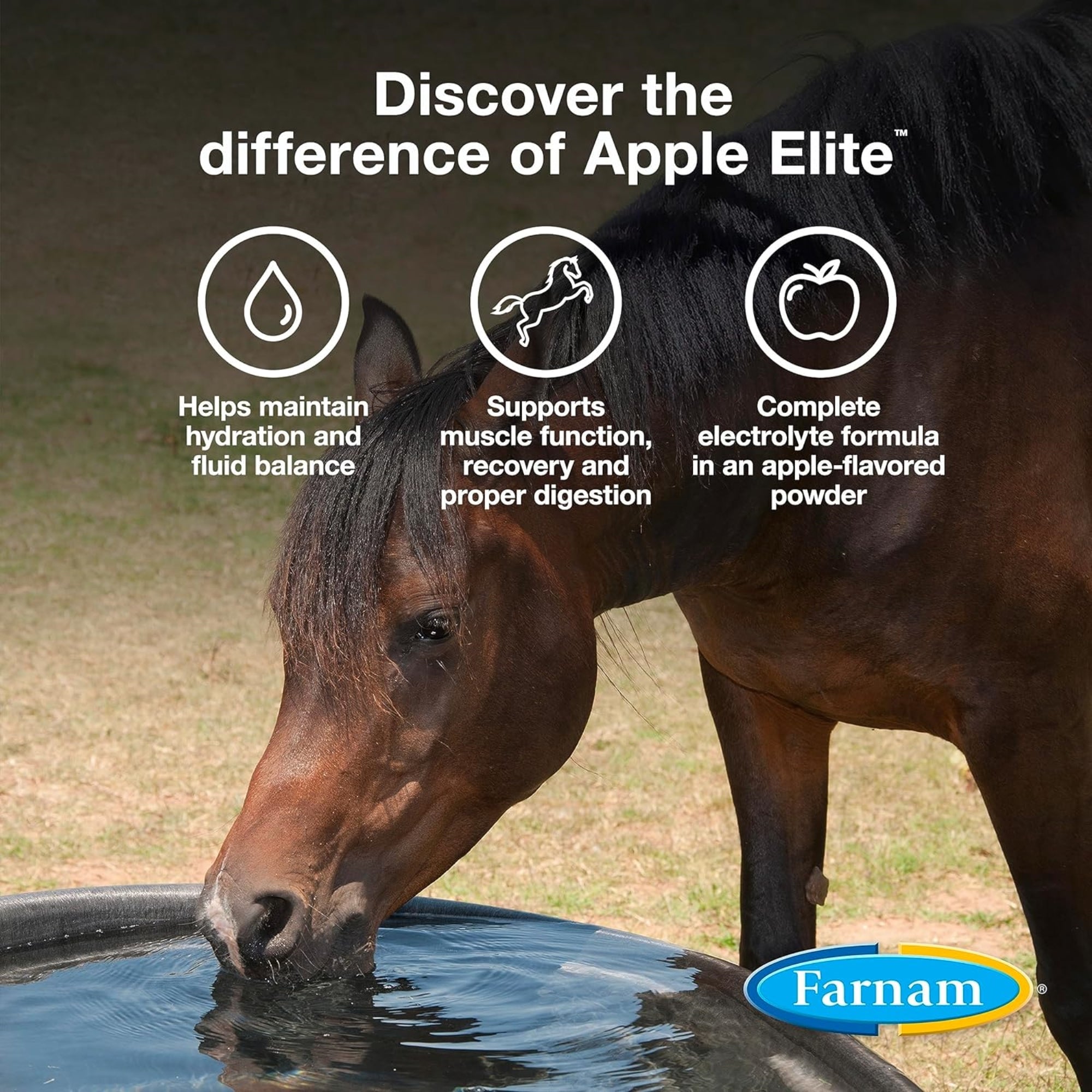 Farnam Apple Elite Electrolyte Supplement Powder for Horses, 20lb