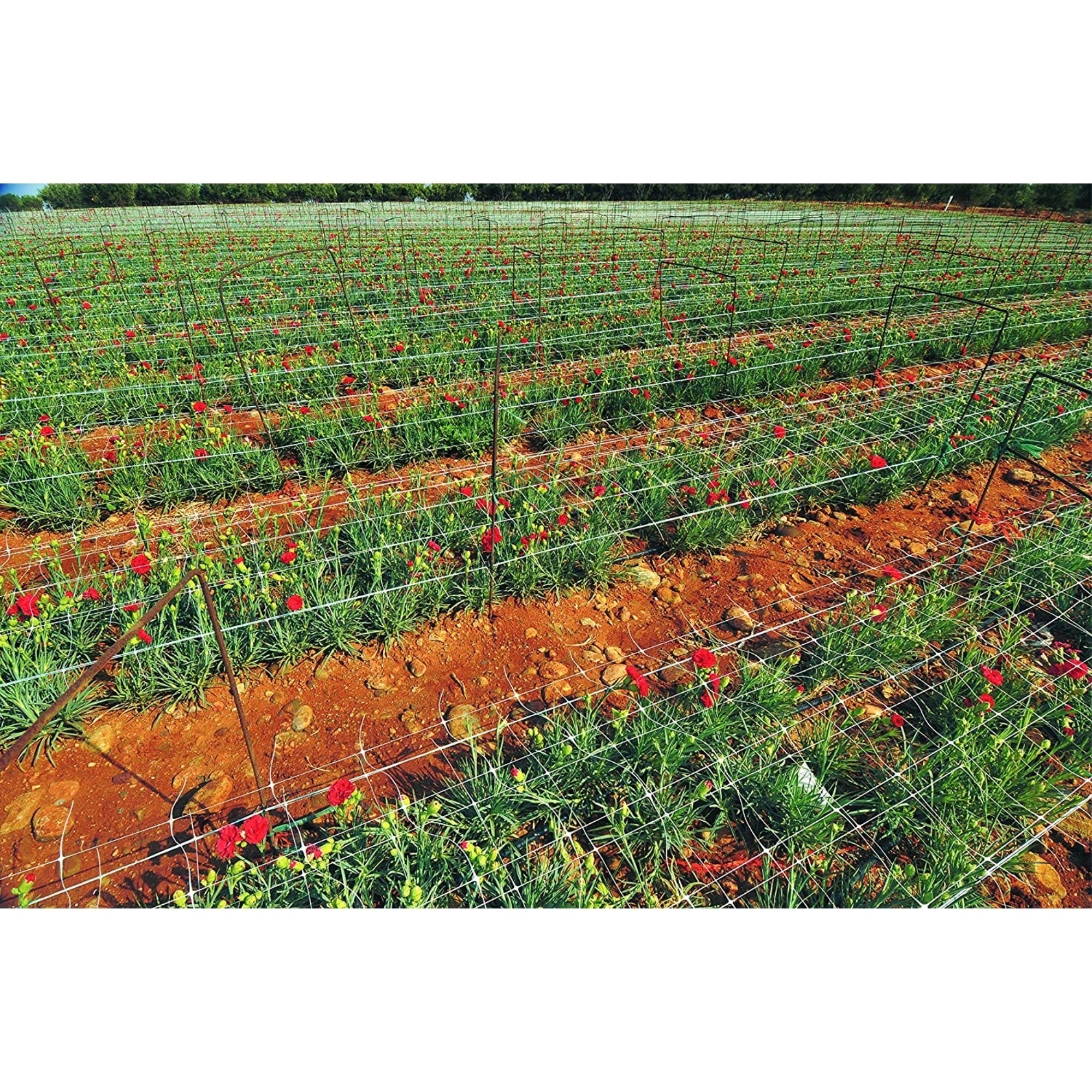 Tenax Hortonova Trellis Plant Net/Support, White 6.5' x 100'