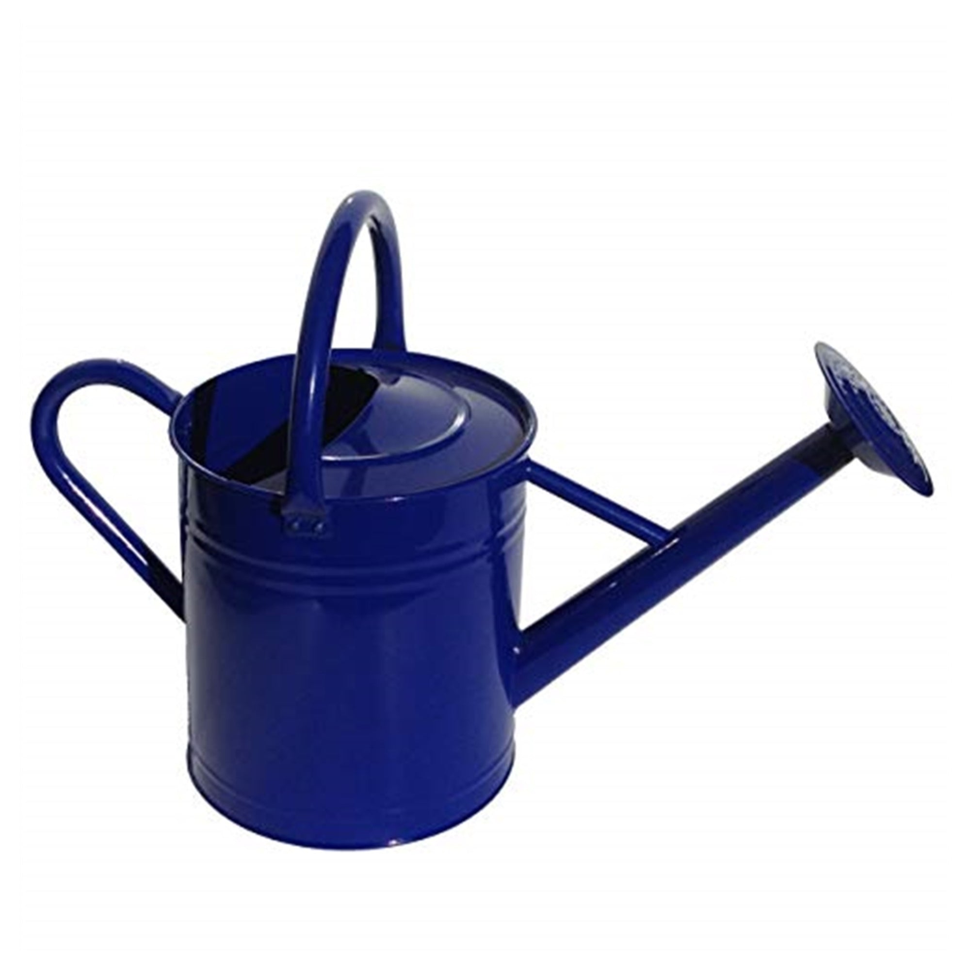 Gardener Select Blue Watering Can, 7L