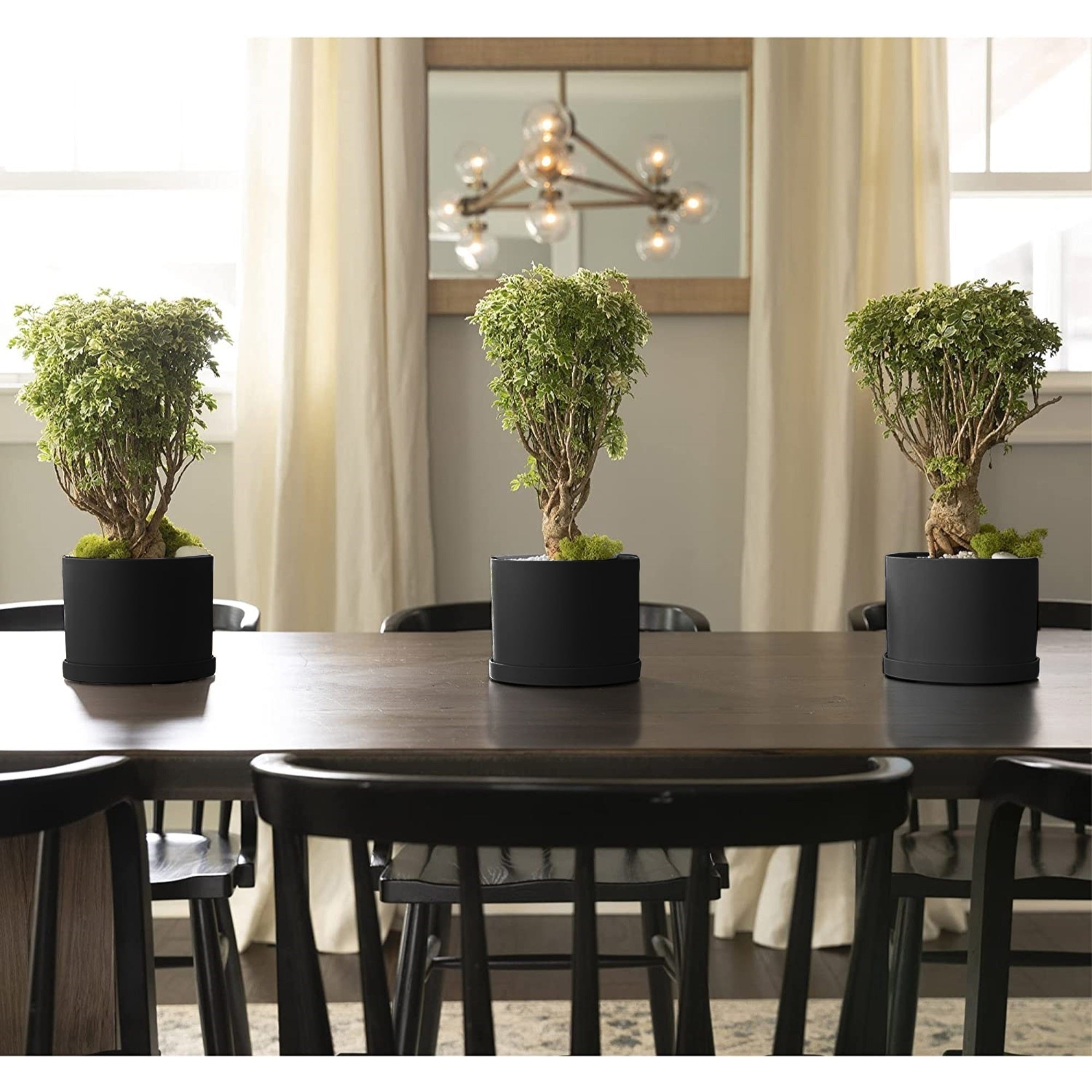 Bloem Mathers Round Plastic Planter with Saucer Tray