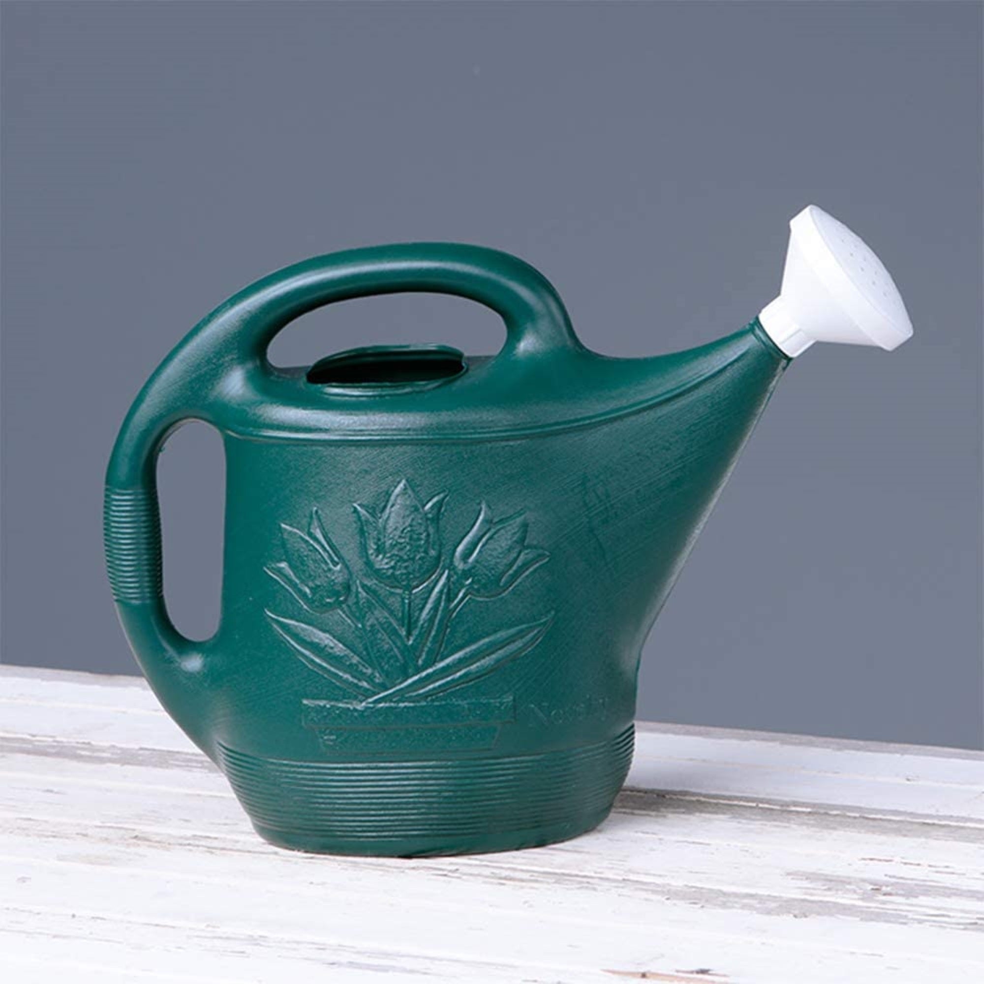 Novelty Classic Plastic Watering Can, Classic Version, Green, 2 Gallon Capacity