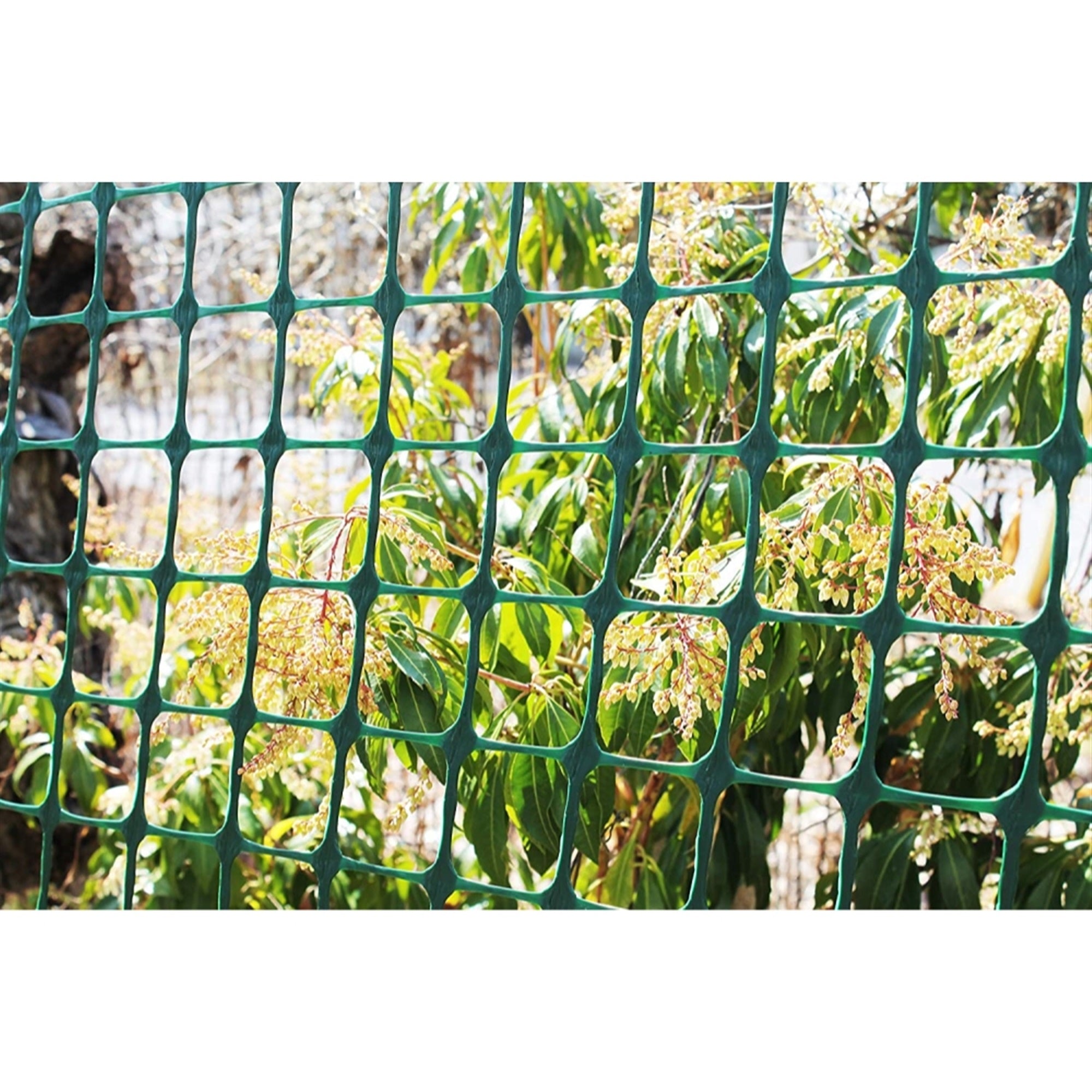 Tenax Plastic Garden Fence, 2 x 25-Feet, Green