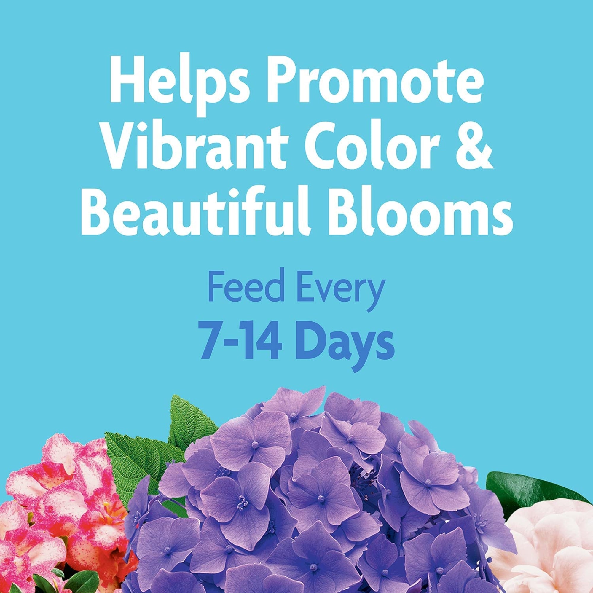 Miracle-Gro Water Soluble Miracid Acid-Loving Plant Food, 1lb