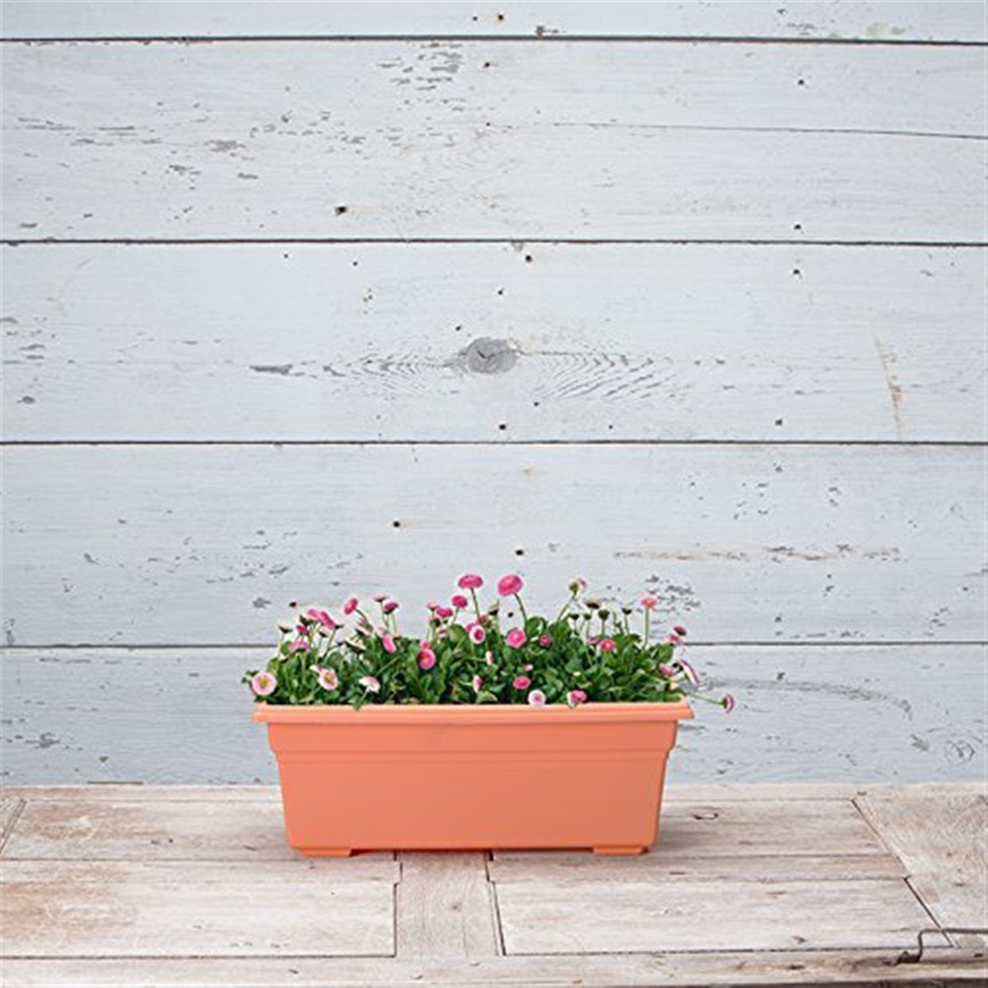 Novelty Plastic Countryside Flower Box Planter