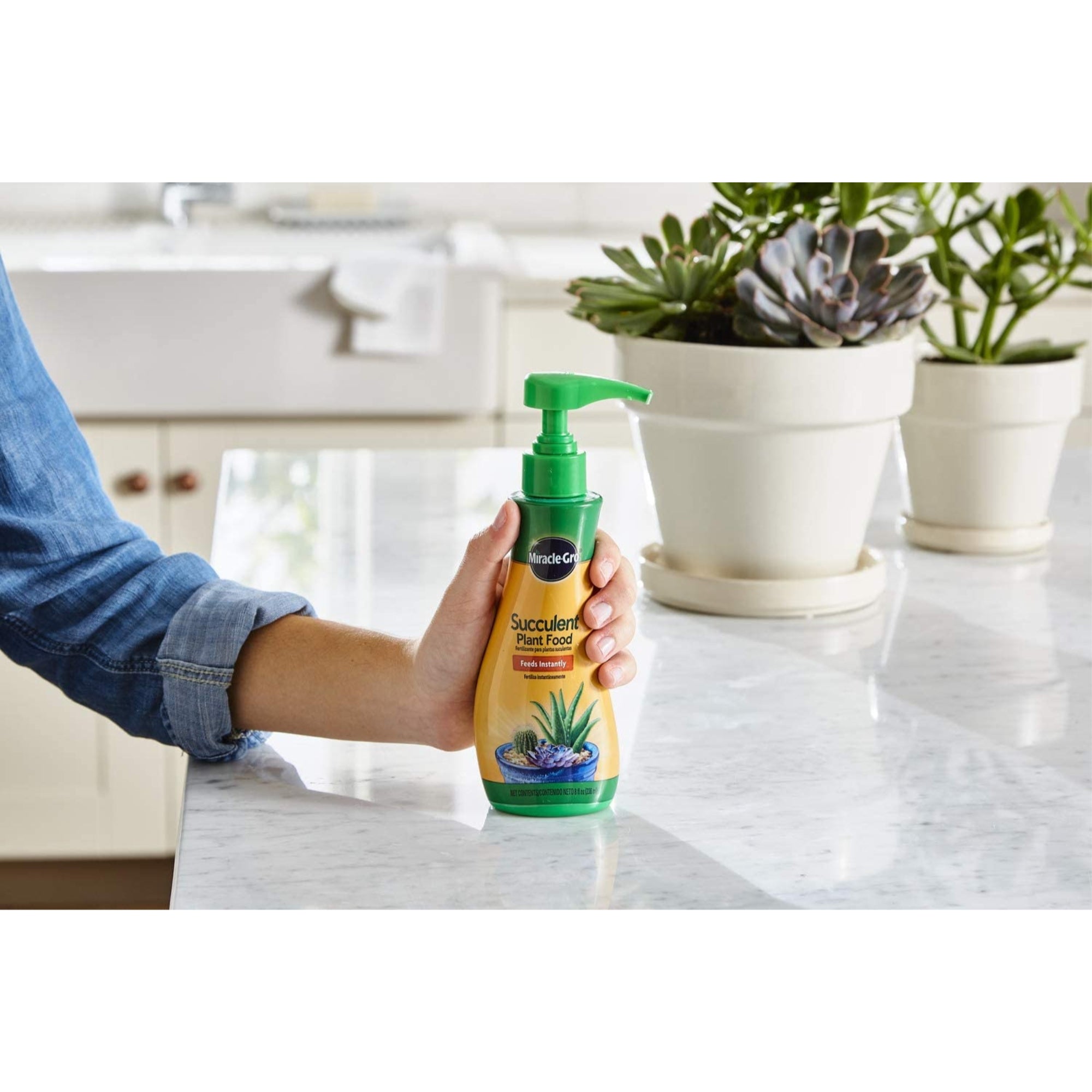 Scotts Miracle-Gro Succulent Plant Food, 8oz