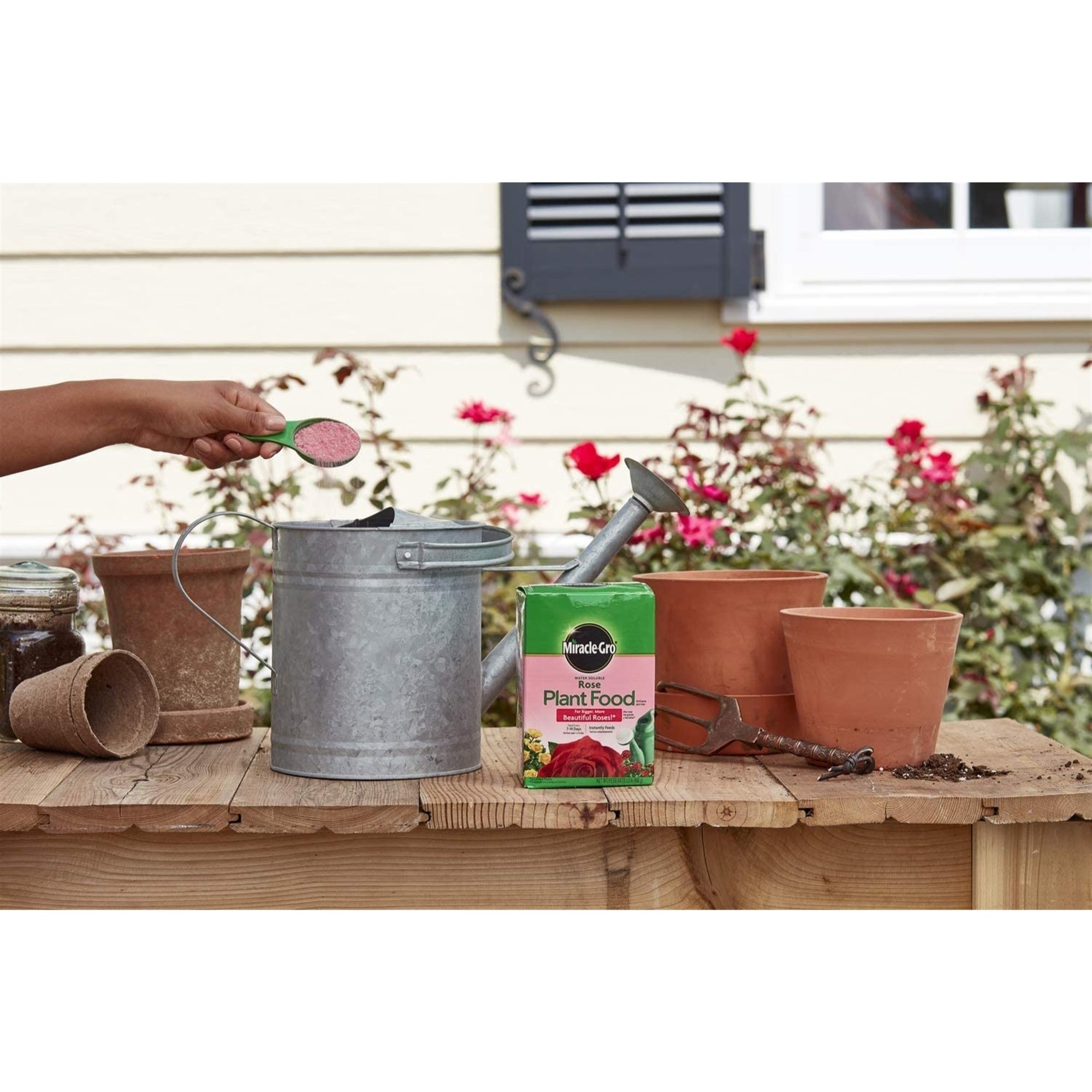 Miracle-Gro Water Soluble Rose Plant Food, 1.5 lb