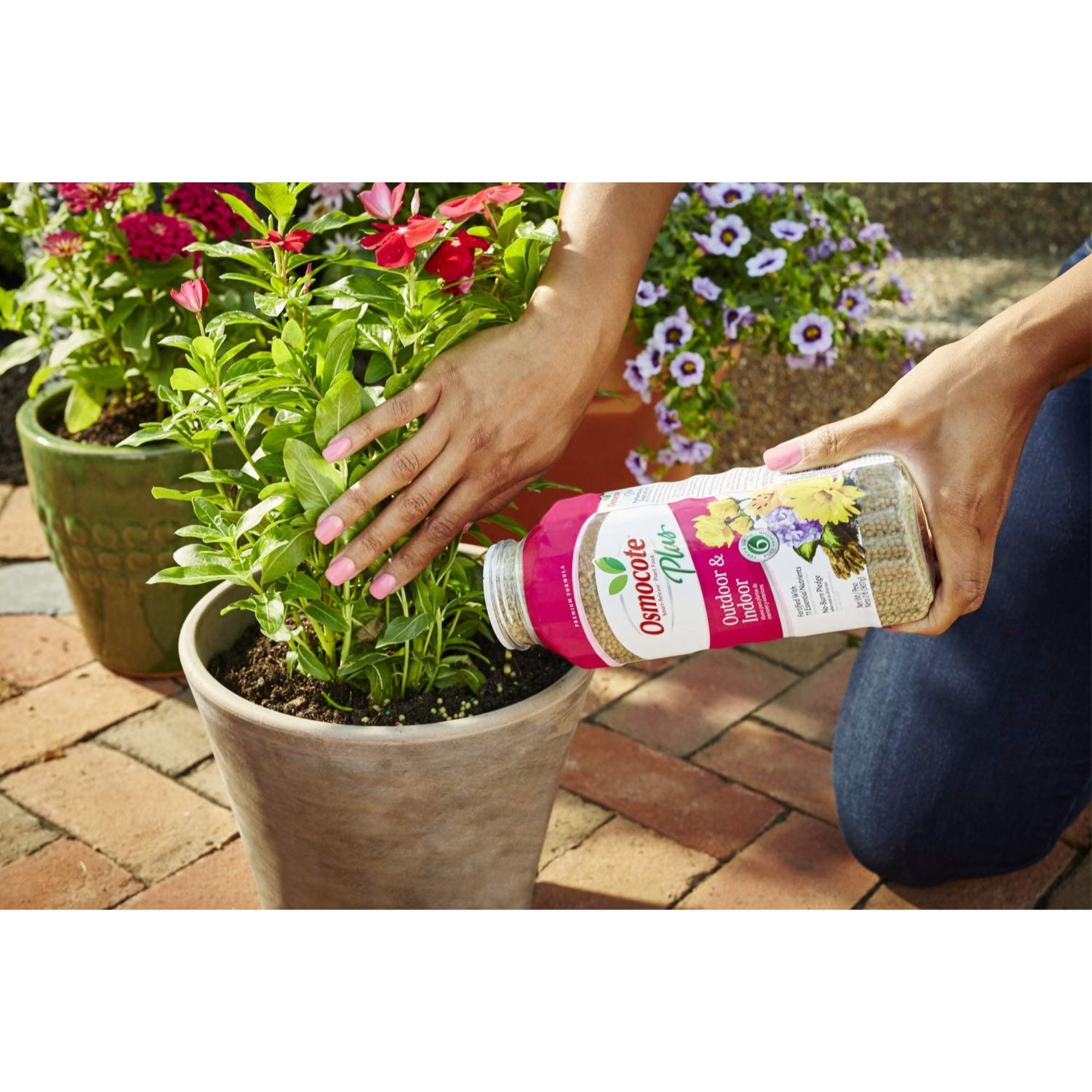 Osmocote Plus Outdoor and Indoor Smart-Release Plant Food, 2 Lb