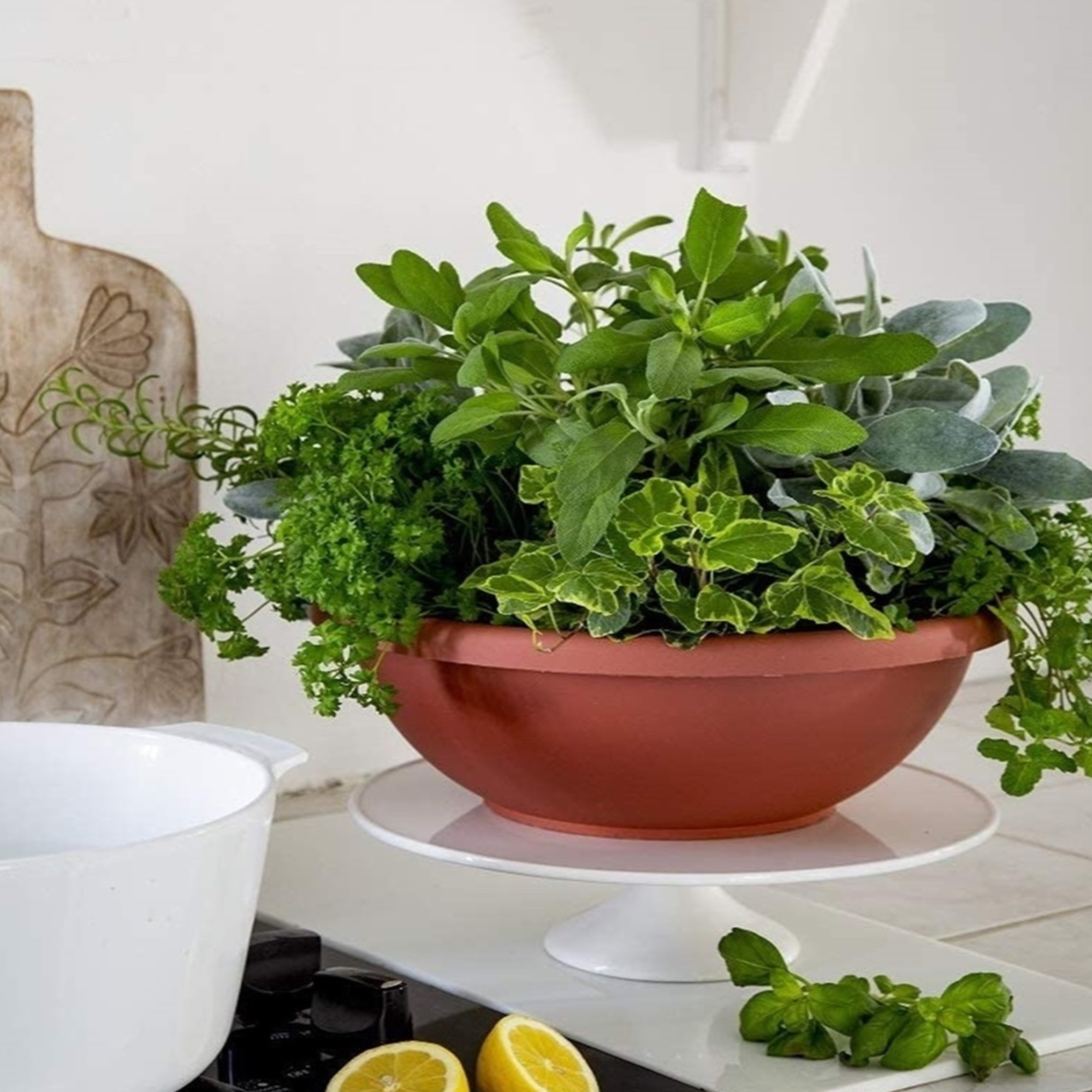 The HC Companies Round Plastic Garden Bowl Planter