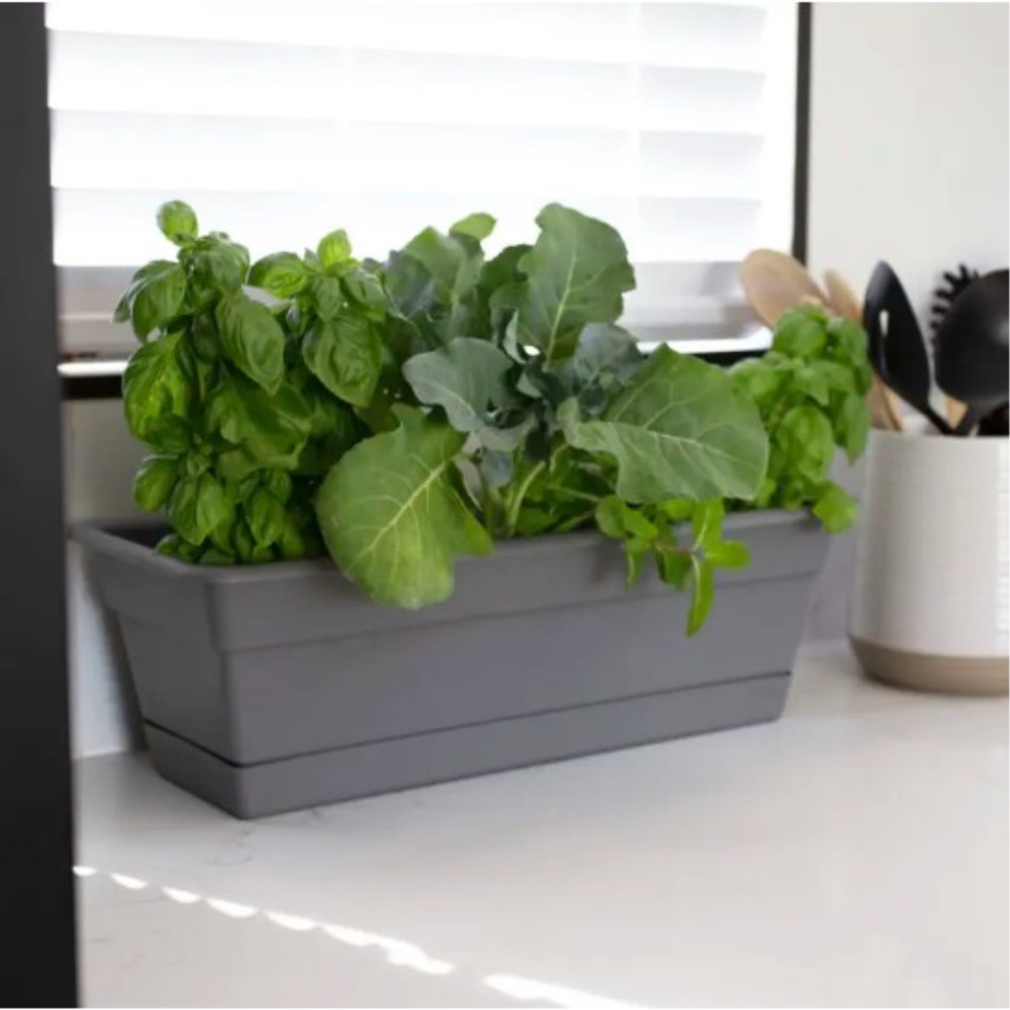 Bloem Indoor/Outdoor Plastic Dura Cotta Window Box Planter