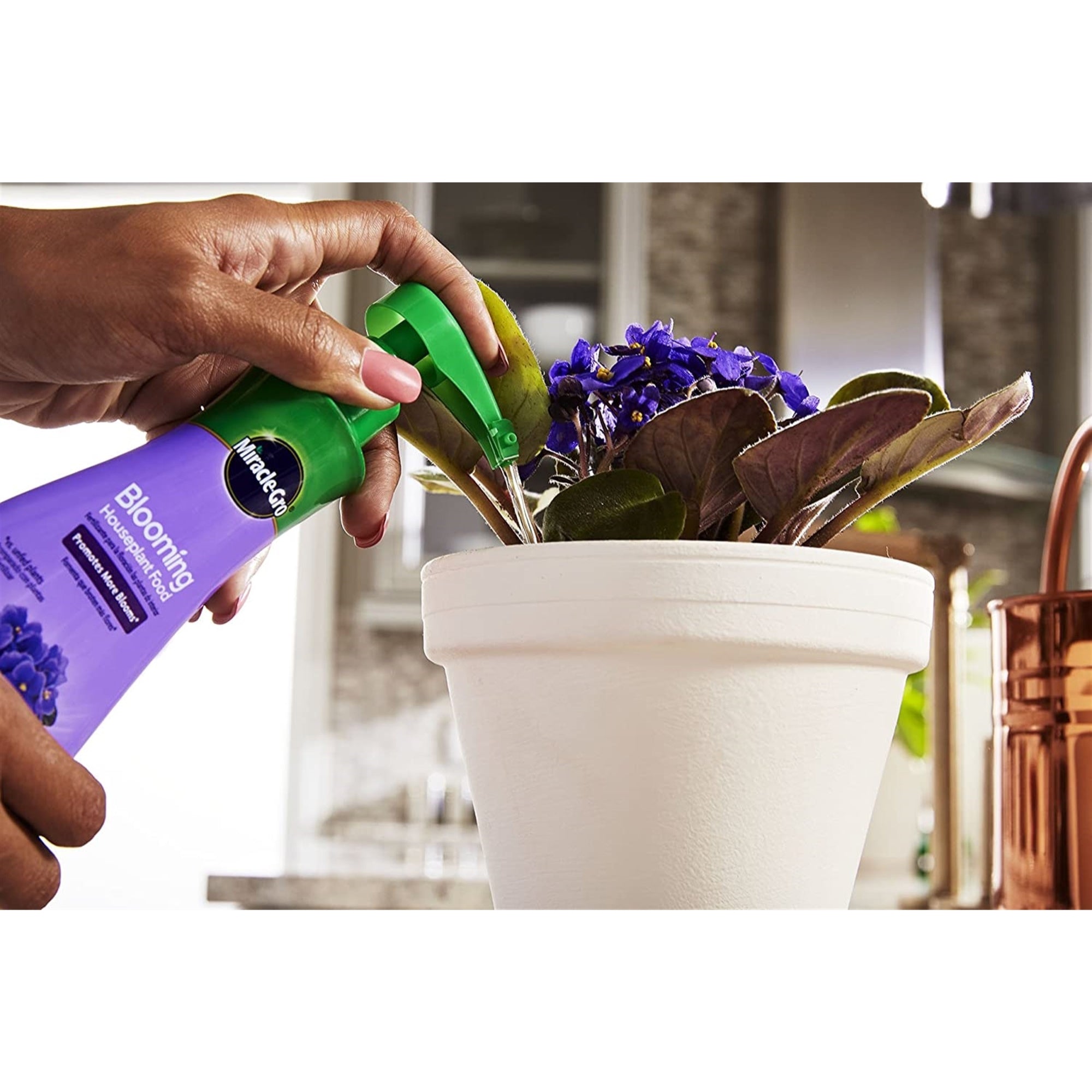 Miracle-Gro Blooming Houseplant Food