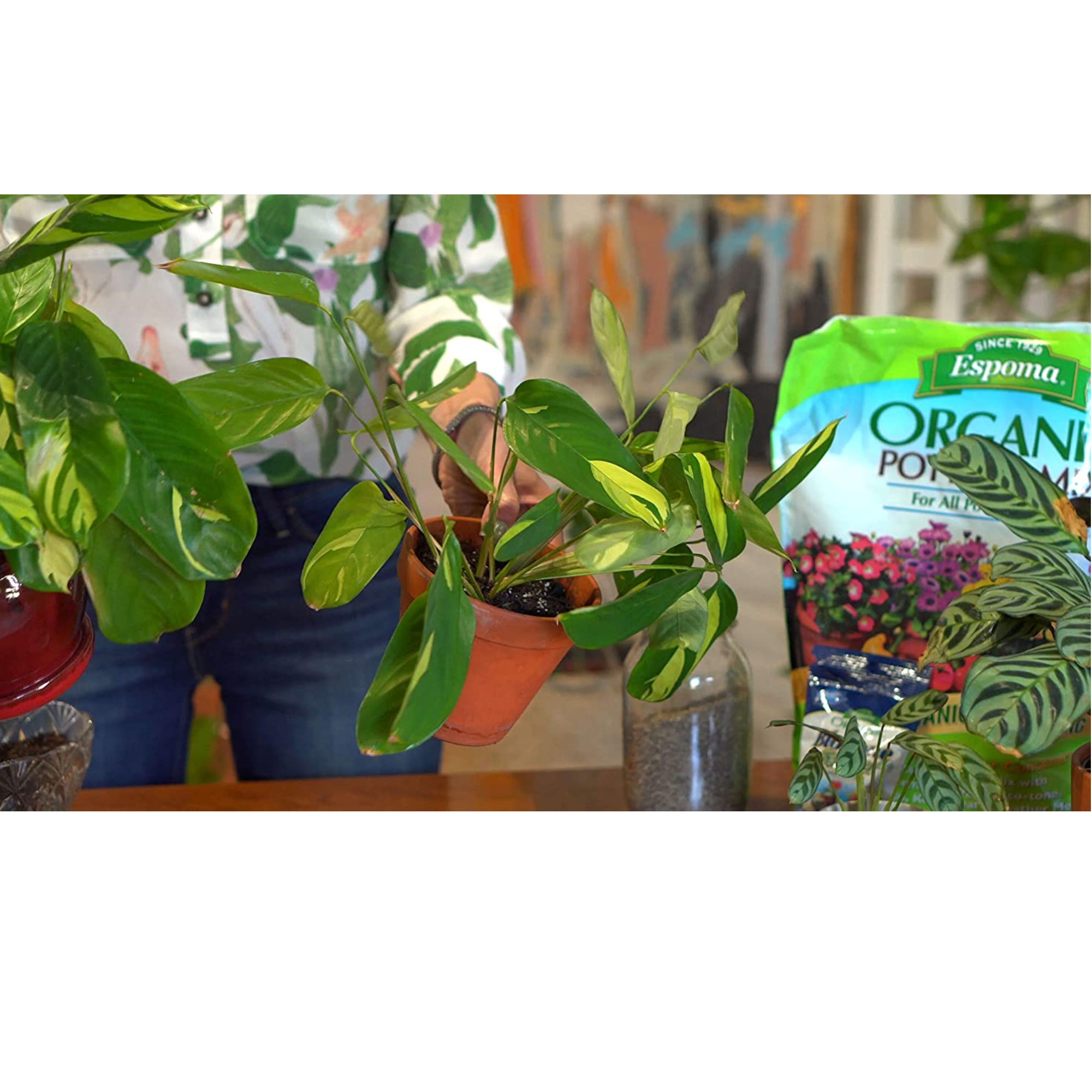 Espoma Organic Potting Mix for Potted Plants, All Natural for Organic Gardening - for Indoor & Outdoor Containers